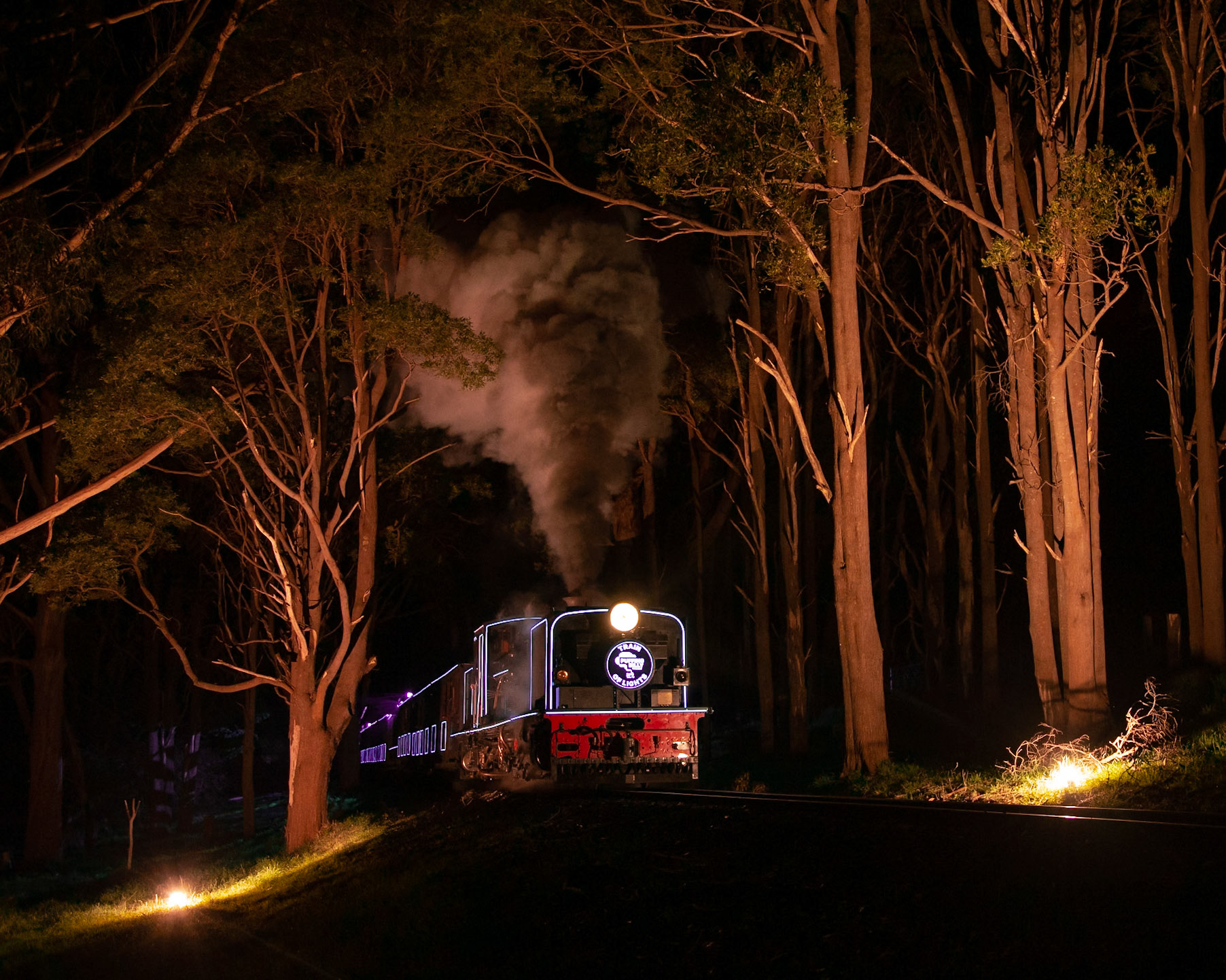 Captured about half-way up the long drag from Cockatoo to Gembrook, NG/G16 129's exhaust erupts towards the tree canopy as it hauls a "Train of Lights" special from Lakeside.