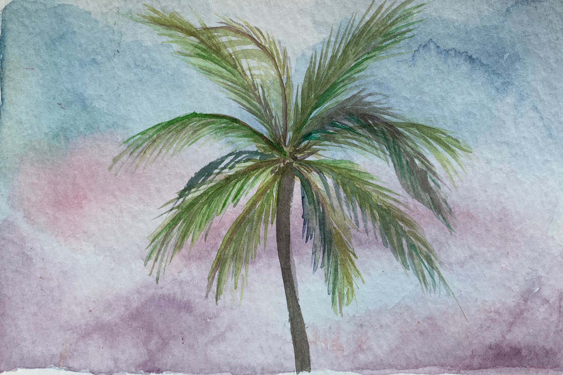 Palm at Dawn, Maui
