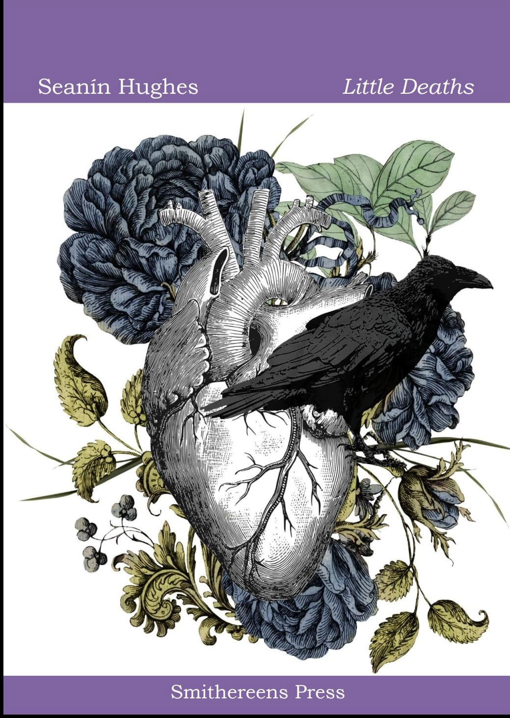 I designed this cover for Seanin Hughes's debut poetry collection