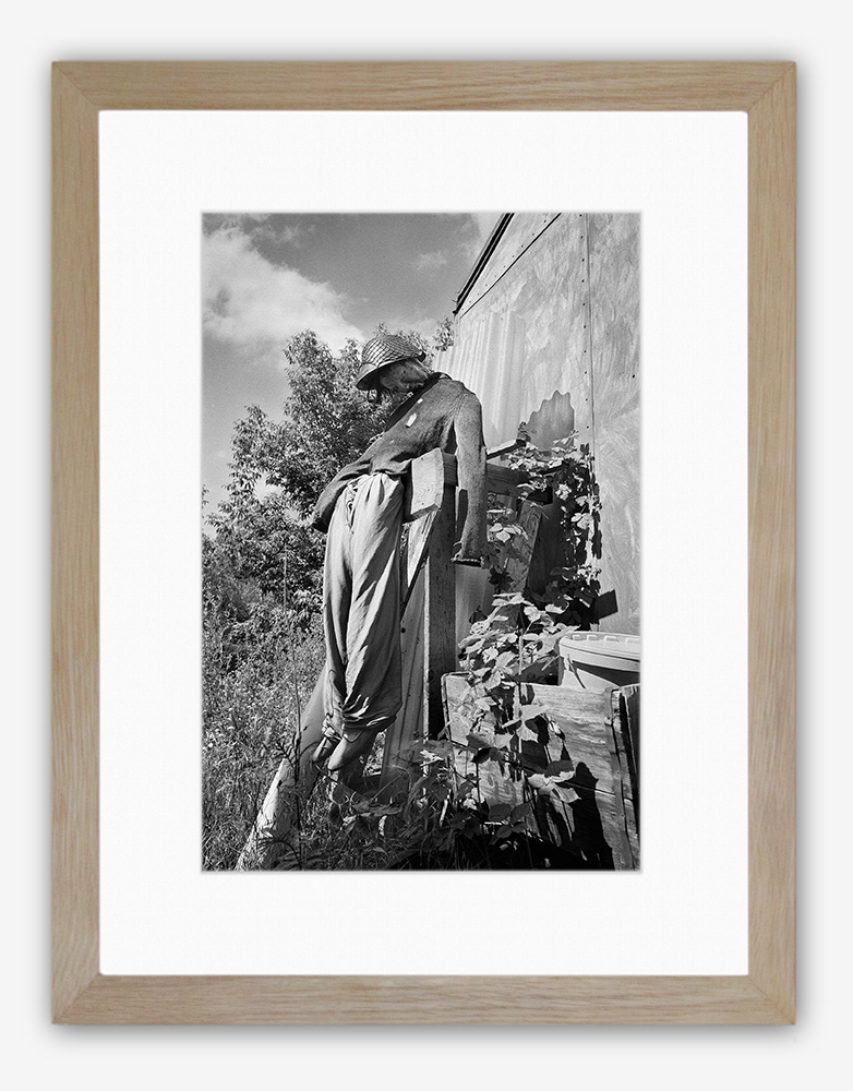 Steve Hanson Photography. 