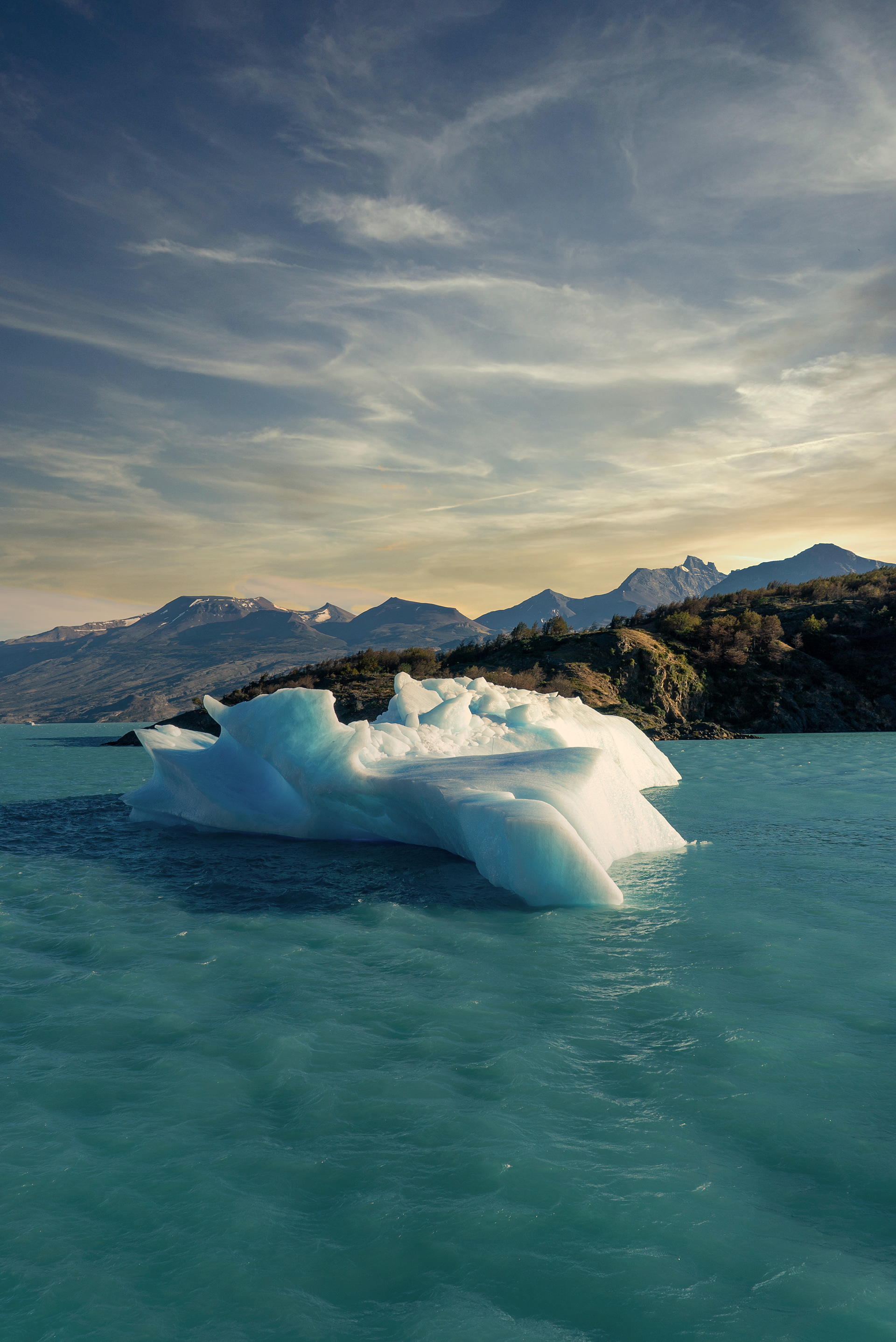 Calafate