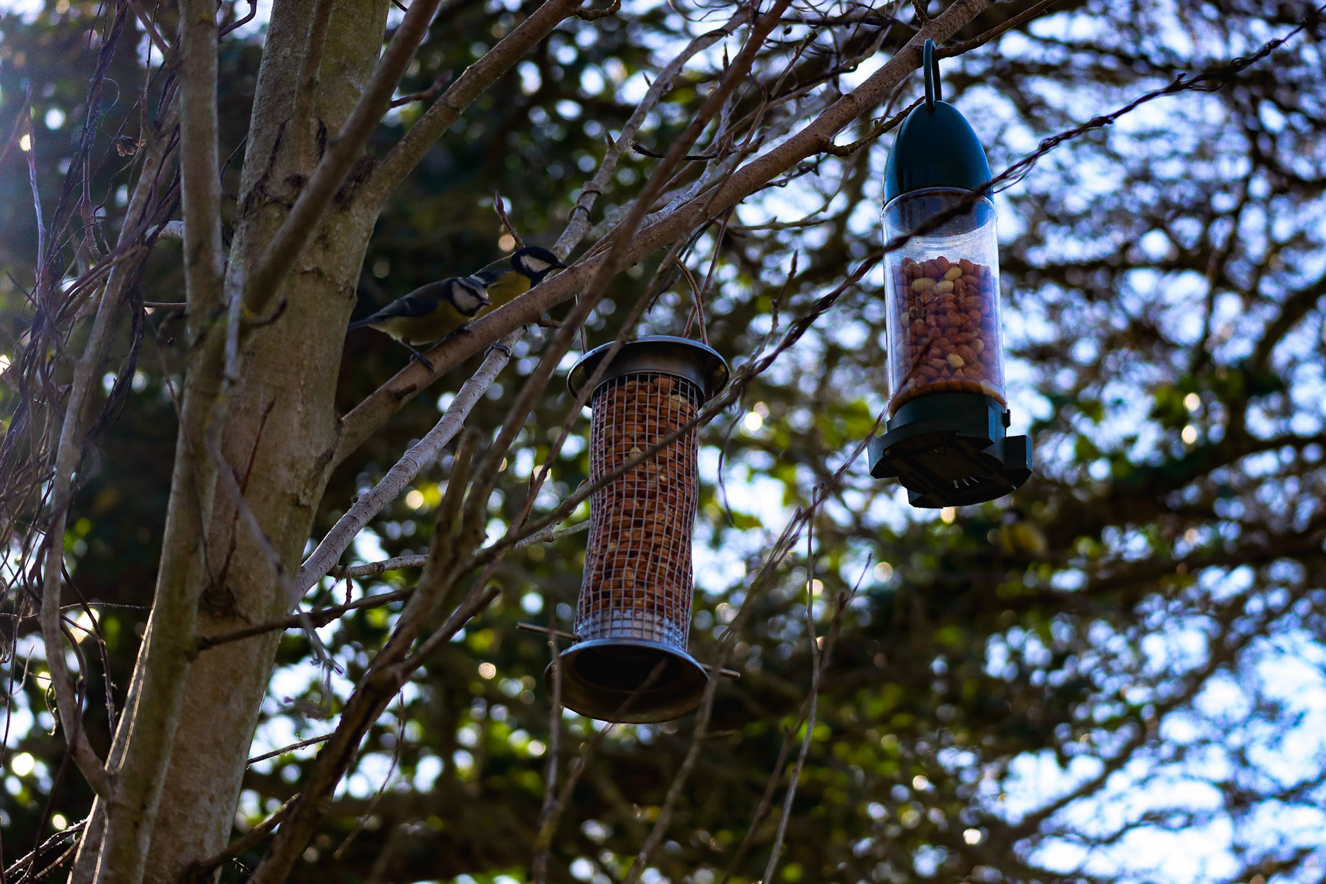 The left or the right