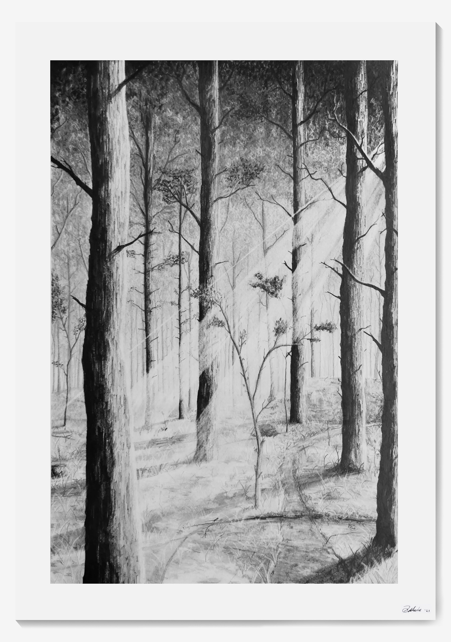 Prints AVAILABLE