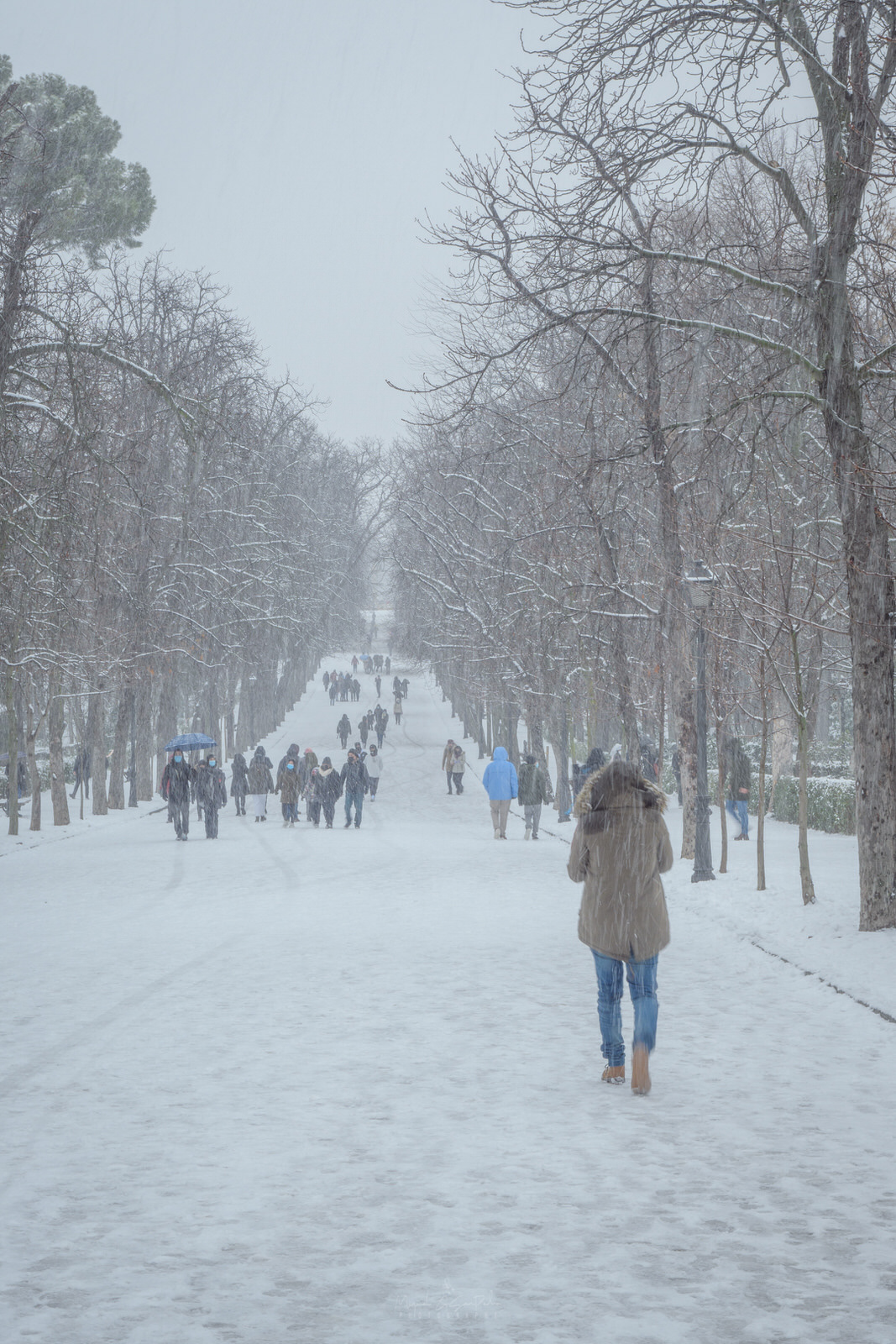 Paseo de Cuba. Parque de El Retiro
