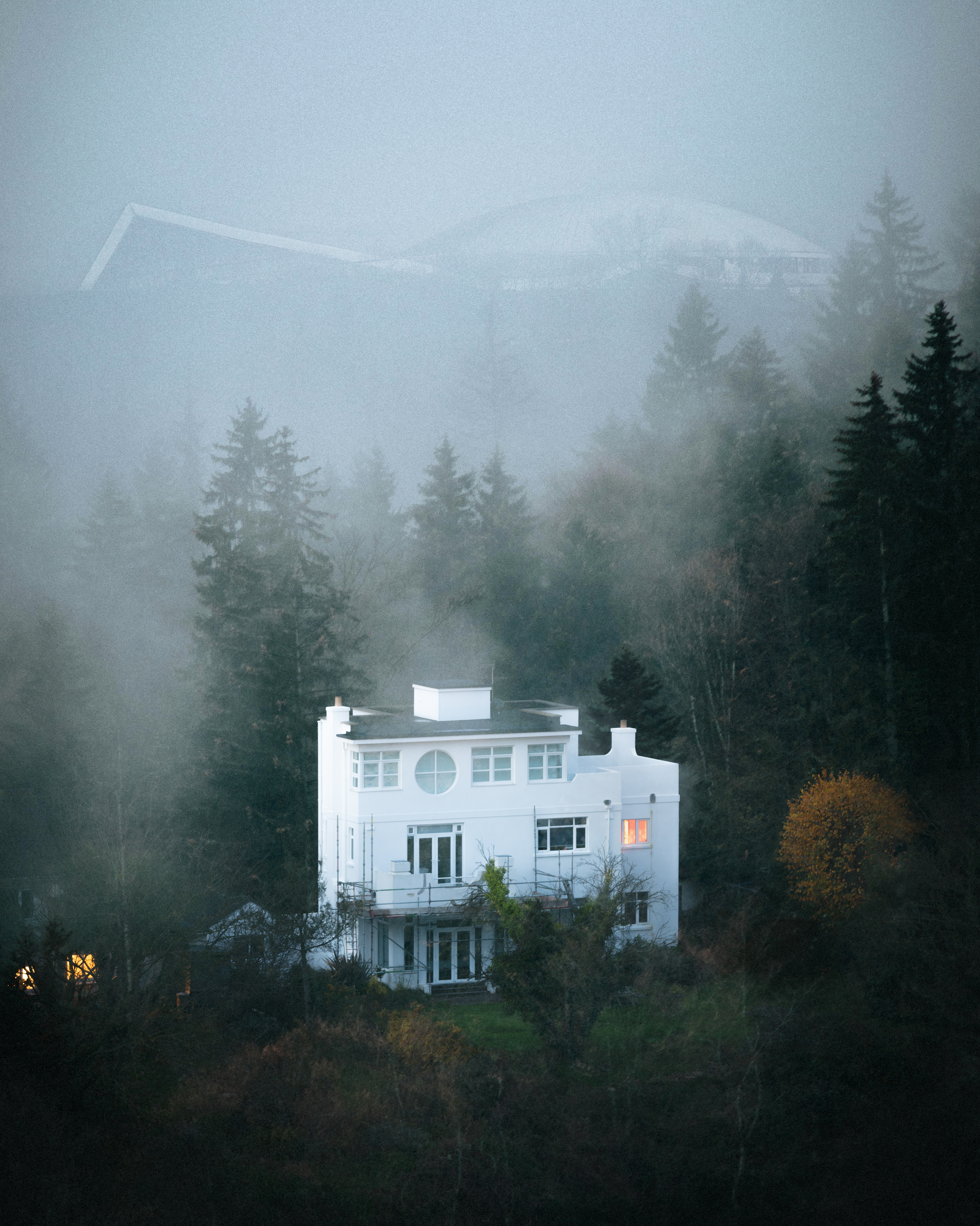 I seek you in the lost forest