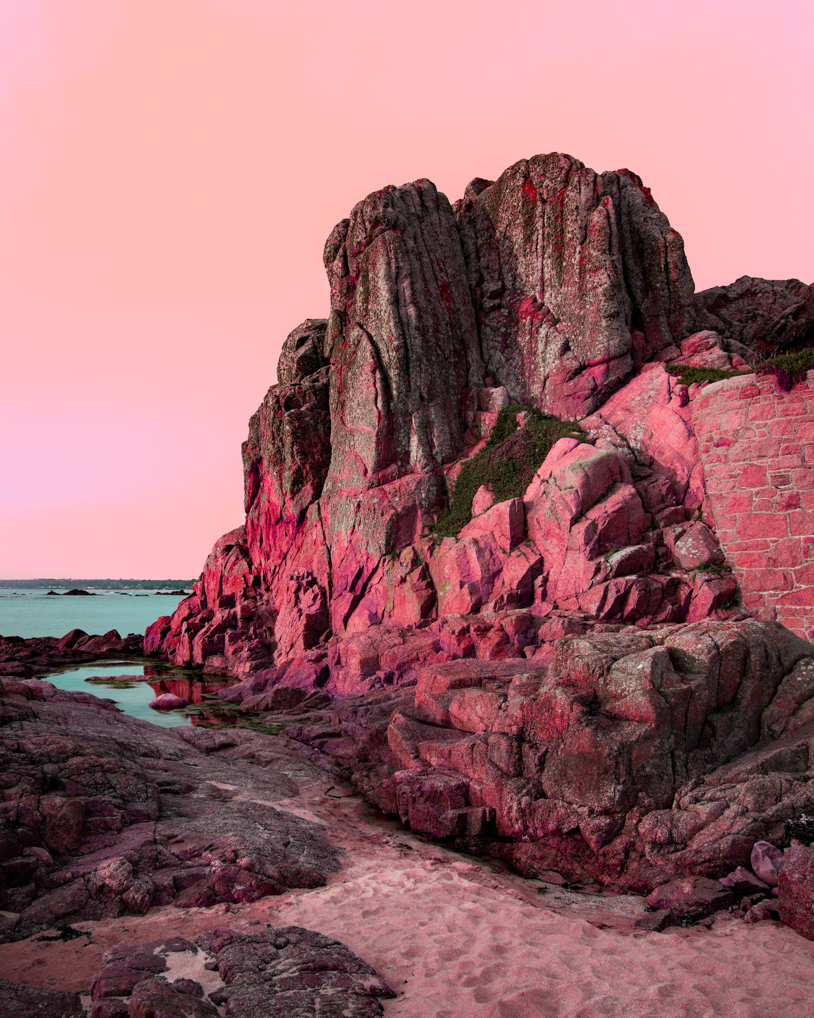 Dream of the coral planet