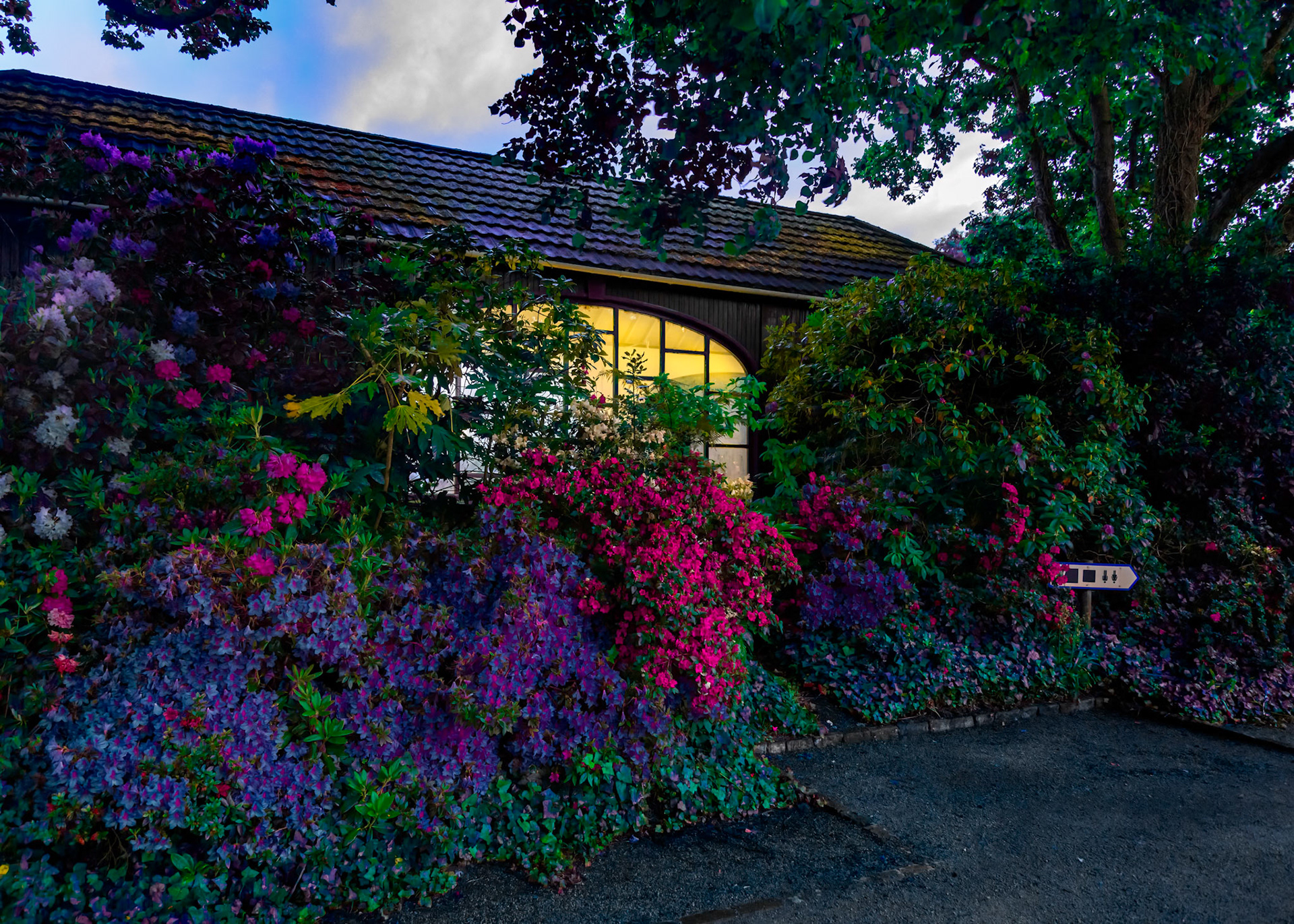 Maze to the bandstand
