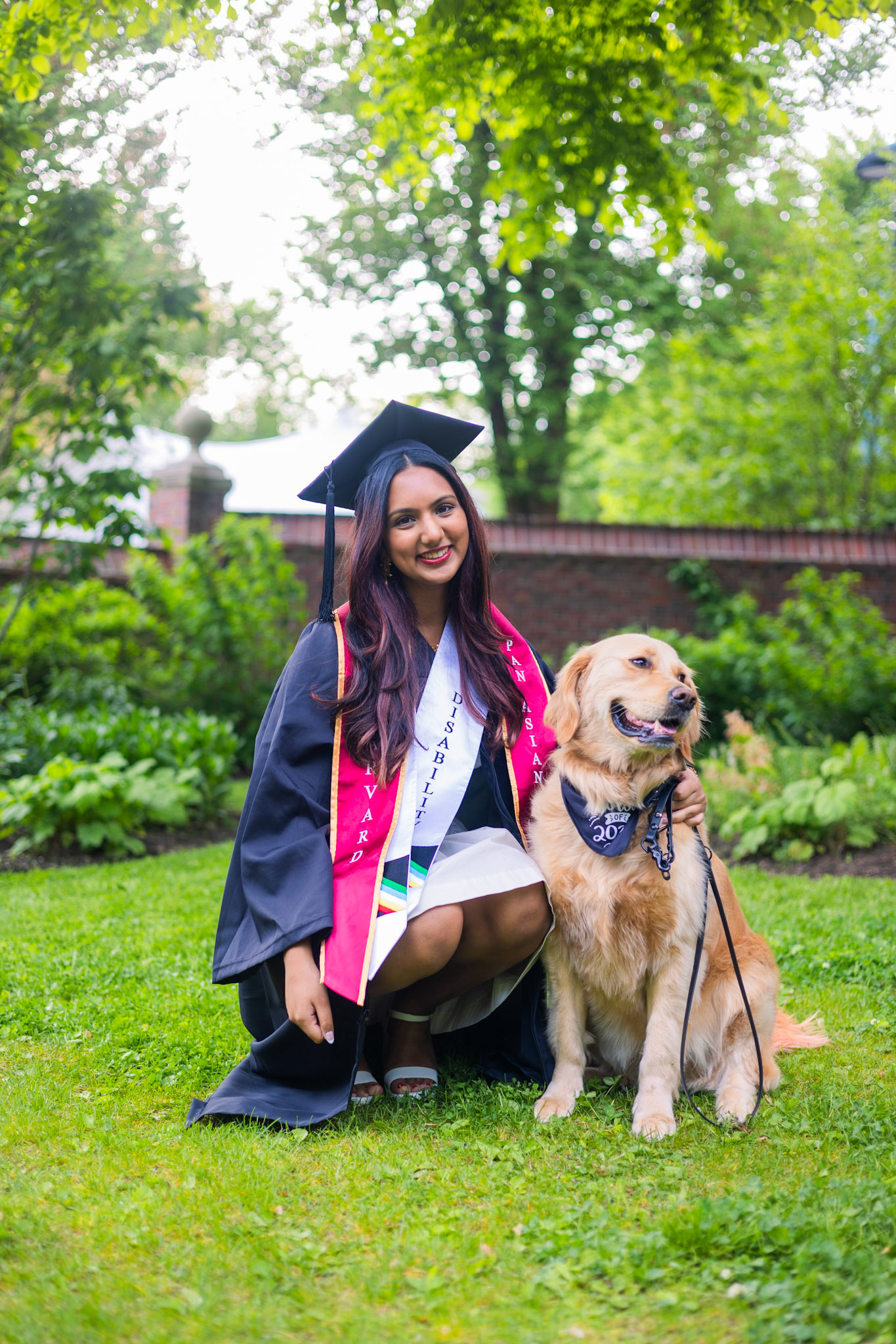 Harvard, 2024