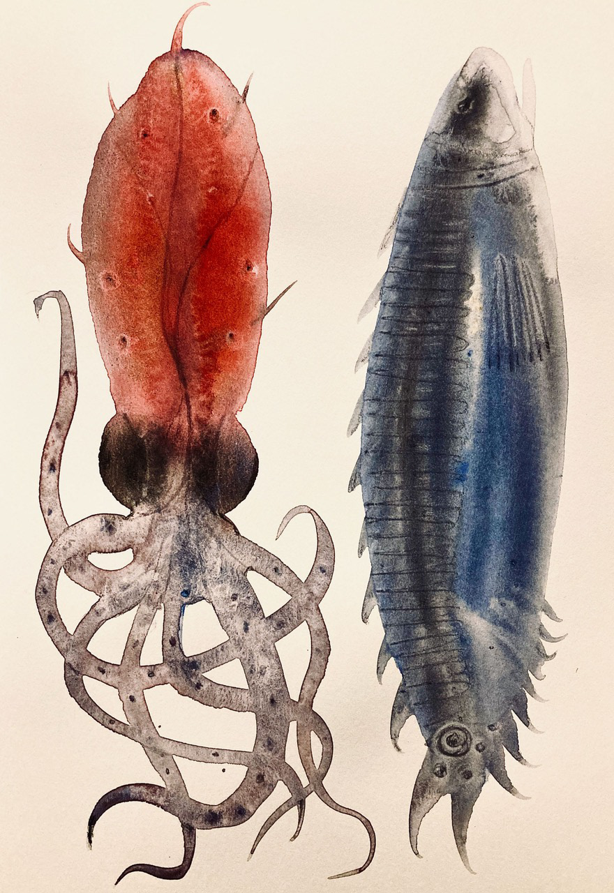 David Chamberlain | The Aquarelles | Watercolor |
