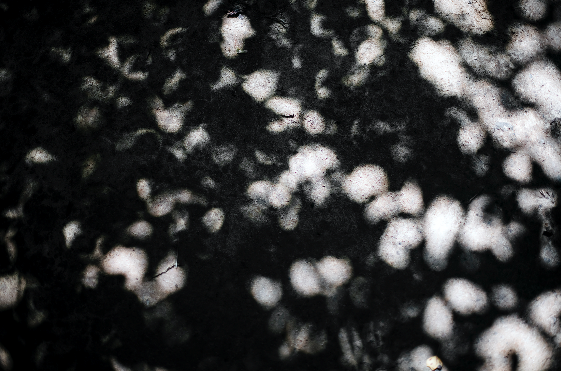 Audrey Hynes Kilinski | A Gestural Texture | Photography | 40x60