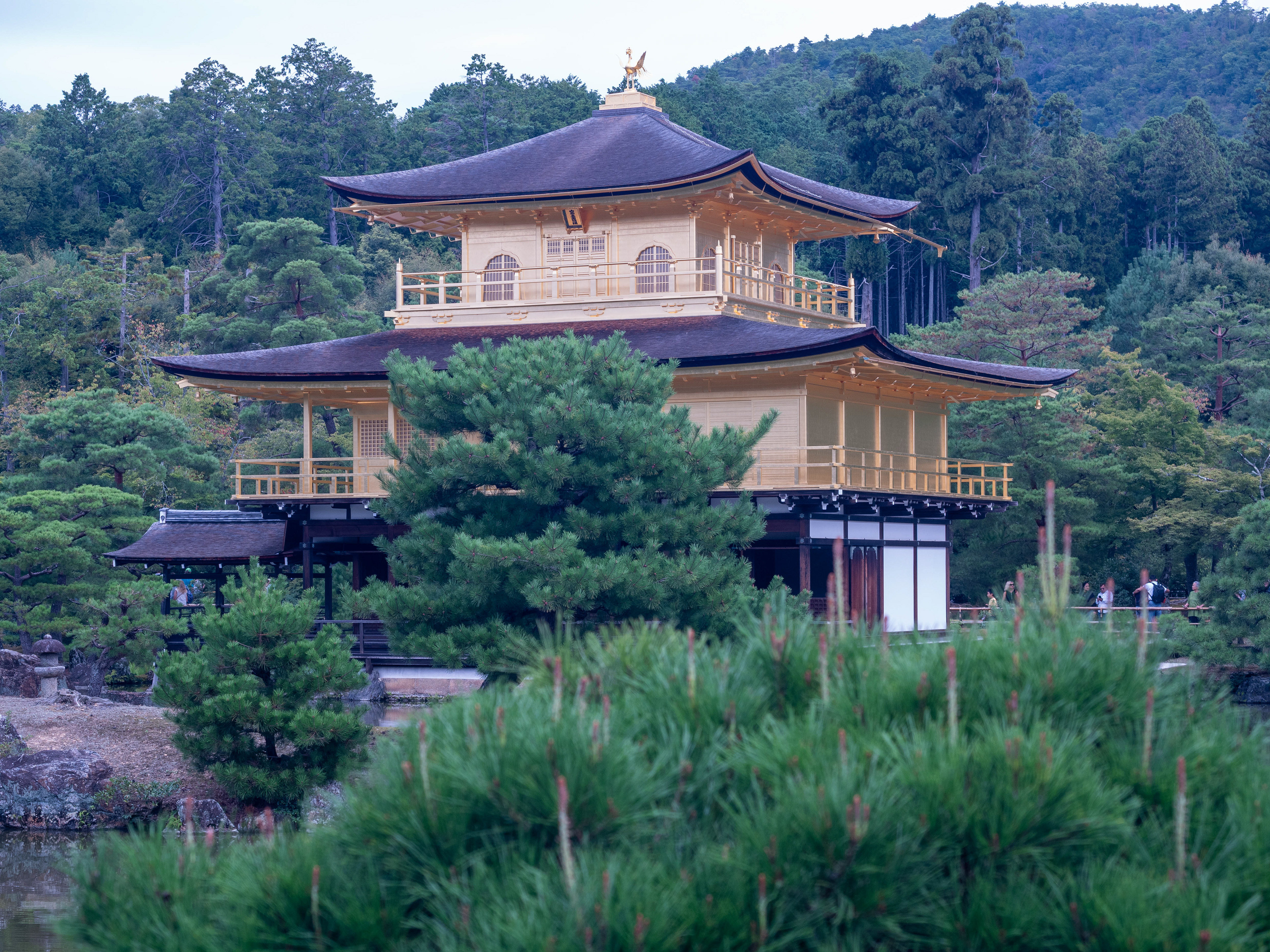 The Golden Pavilion at Kinkakuji Temple
