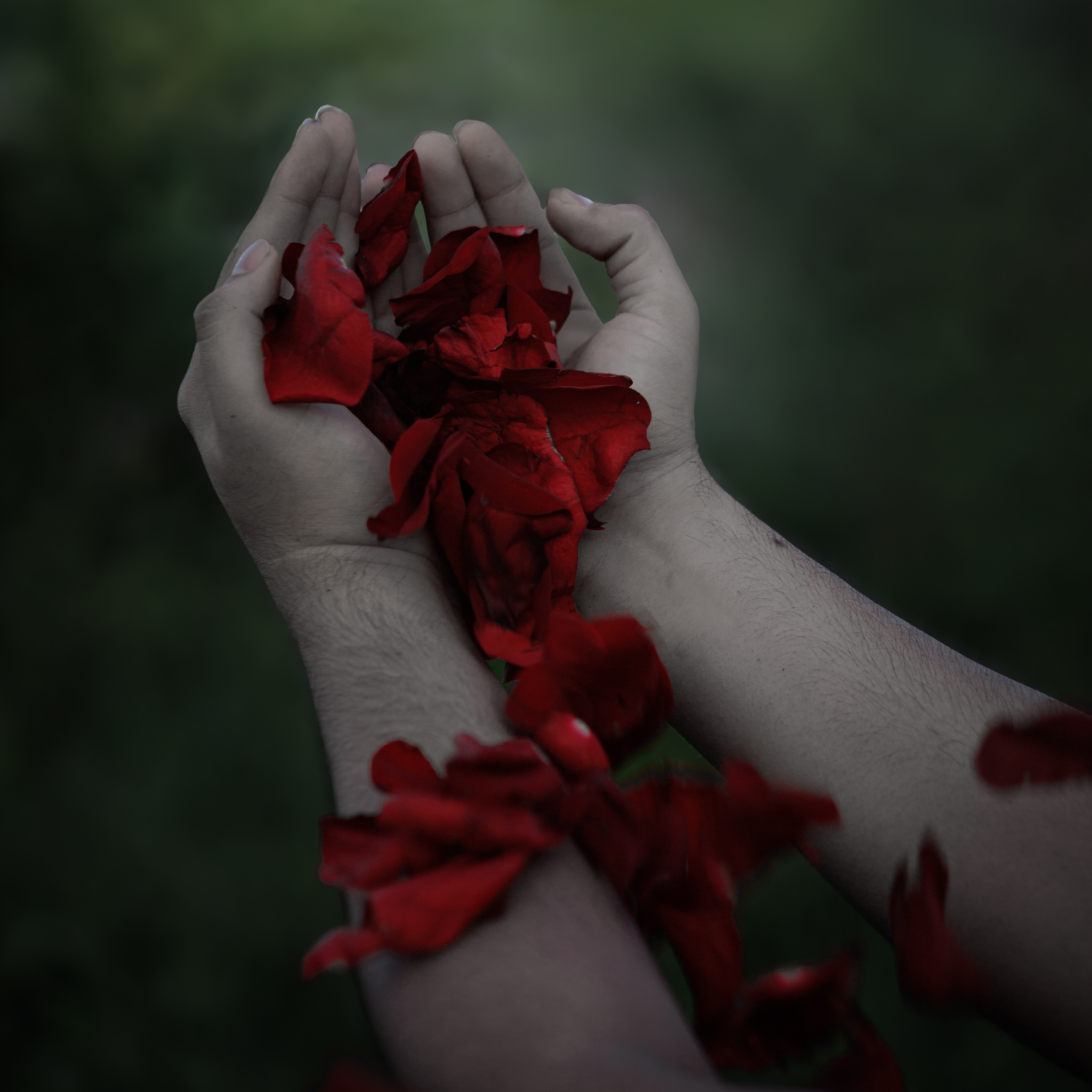 Portada del Single