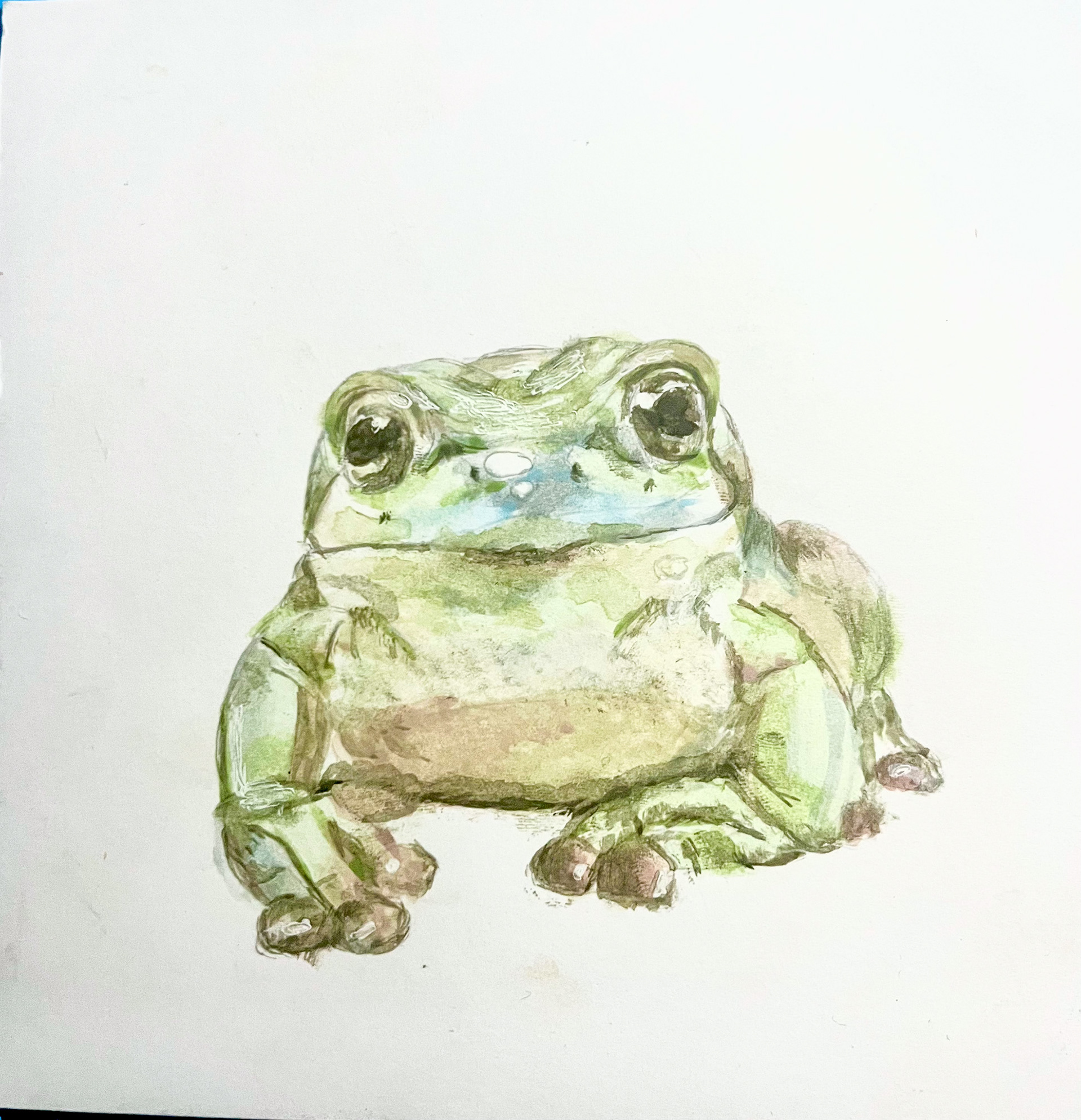 watercolor