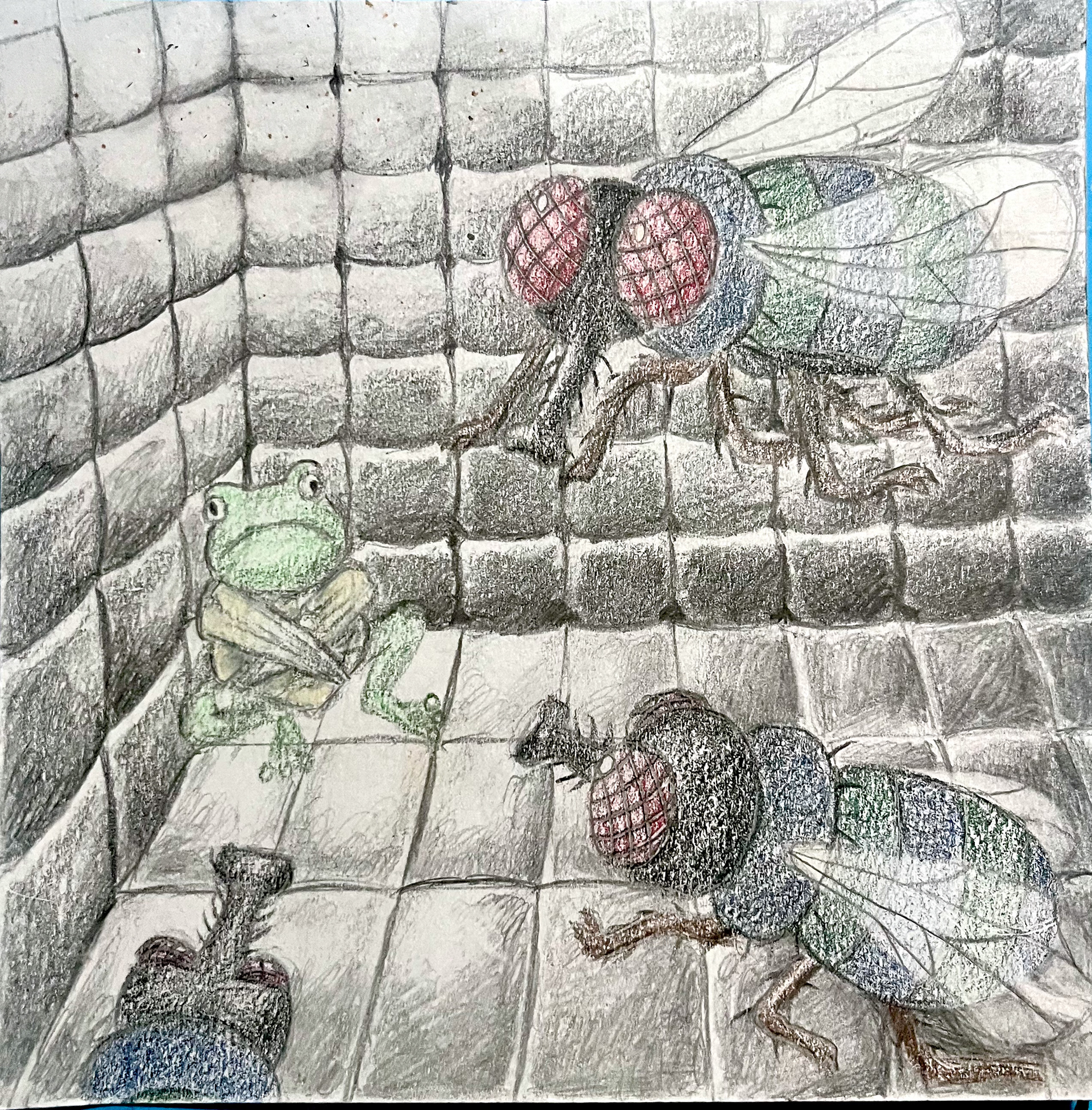 graphite and colored pencil