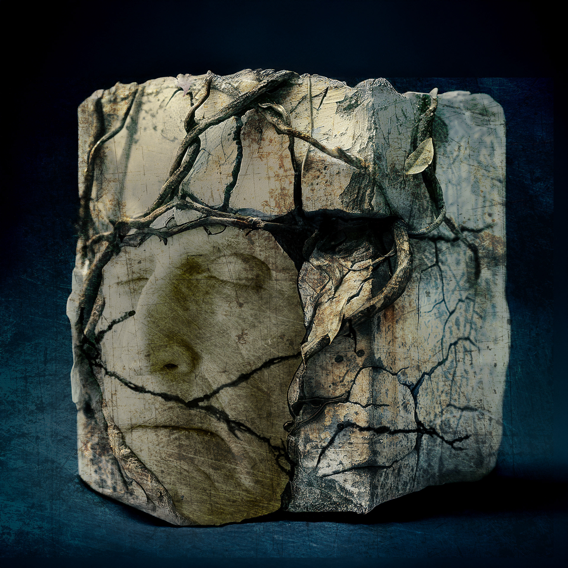 Trapped in Stone