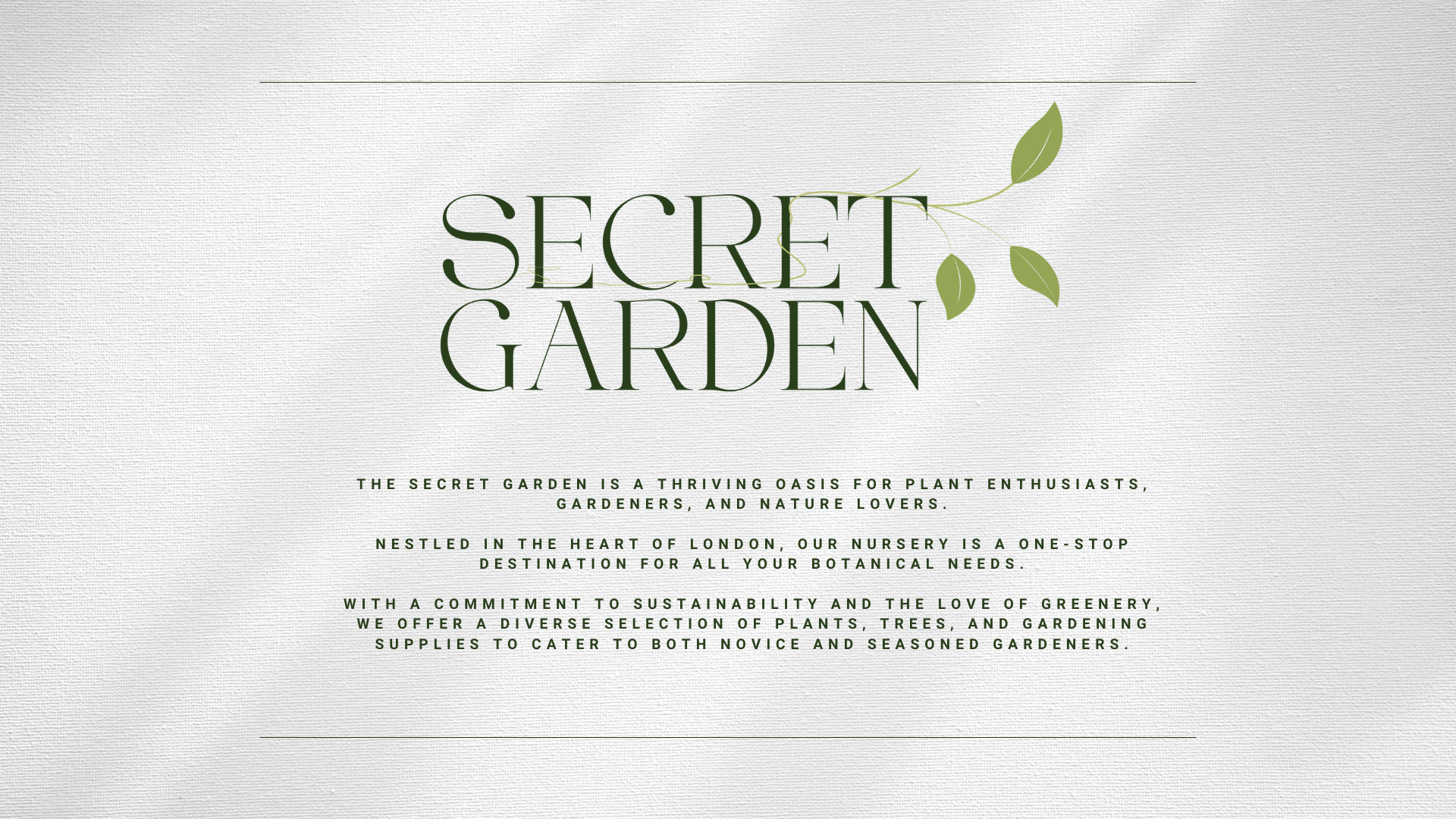 Branding & Identity