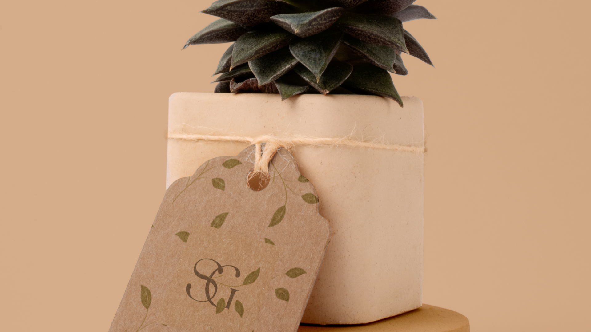 Packaging/Merchandising