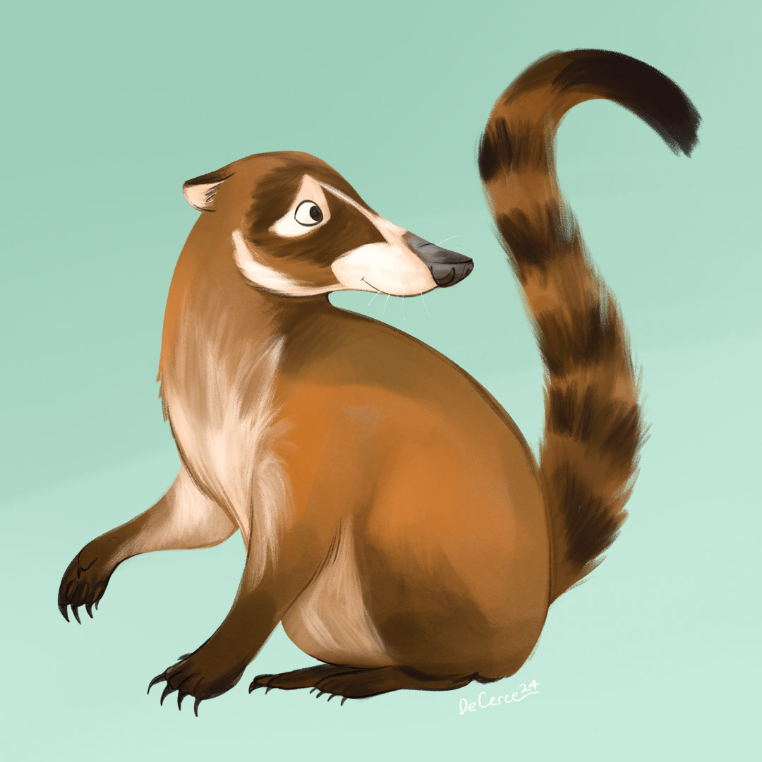 Coati 1