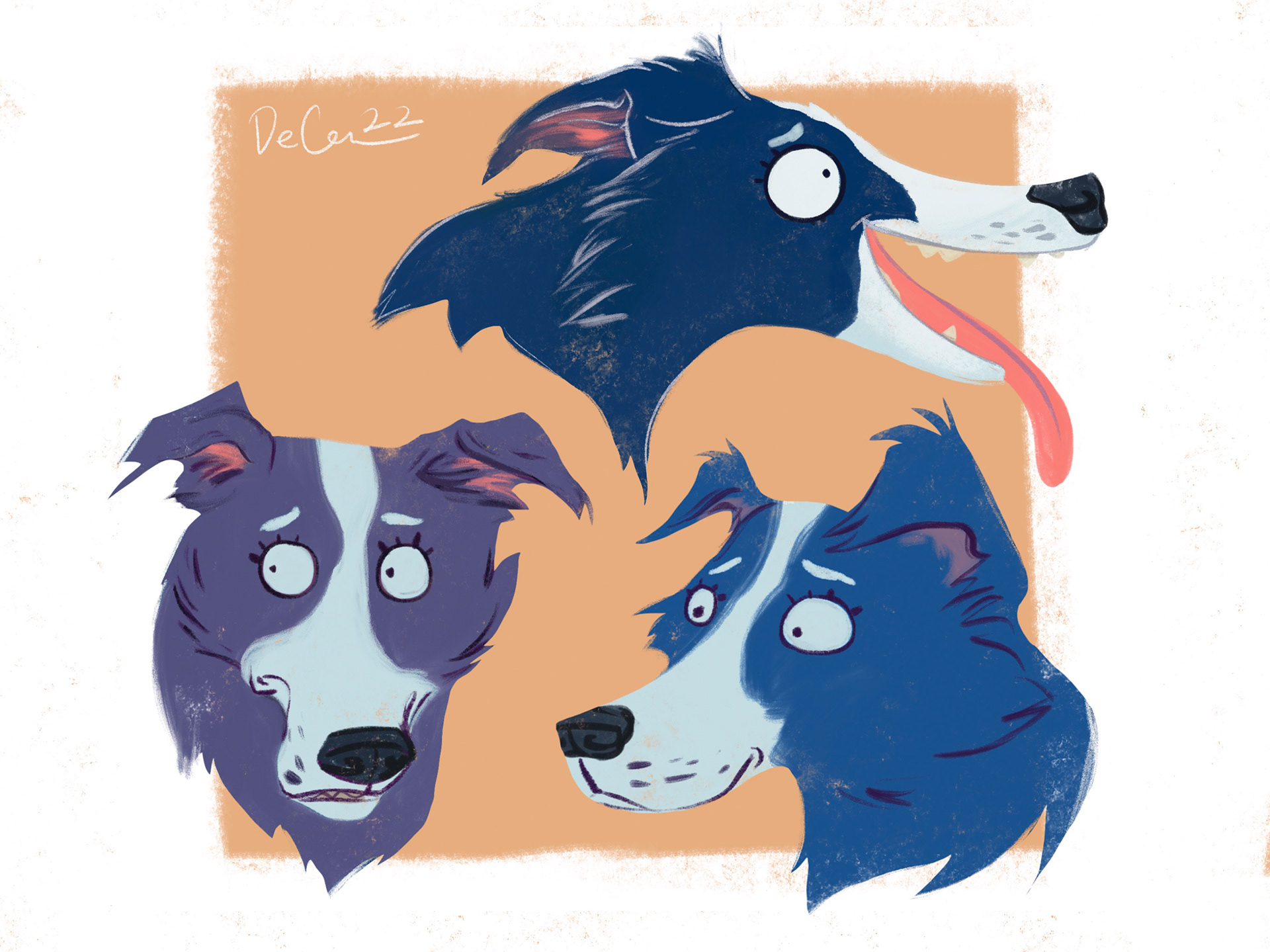 Border Collies