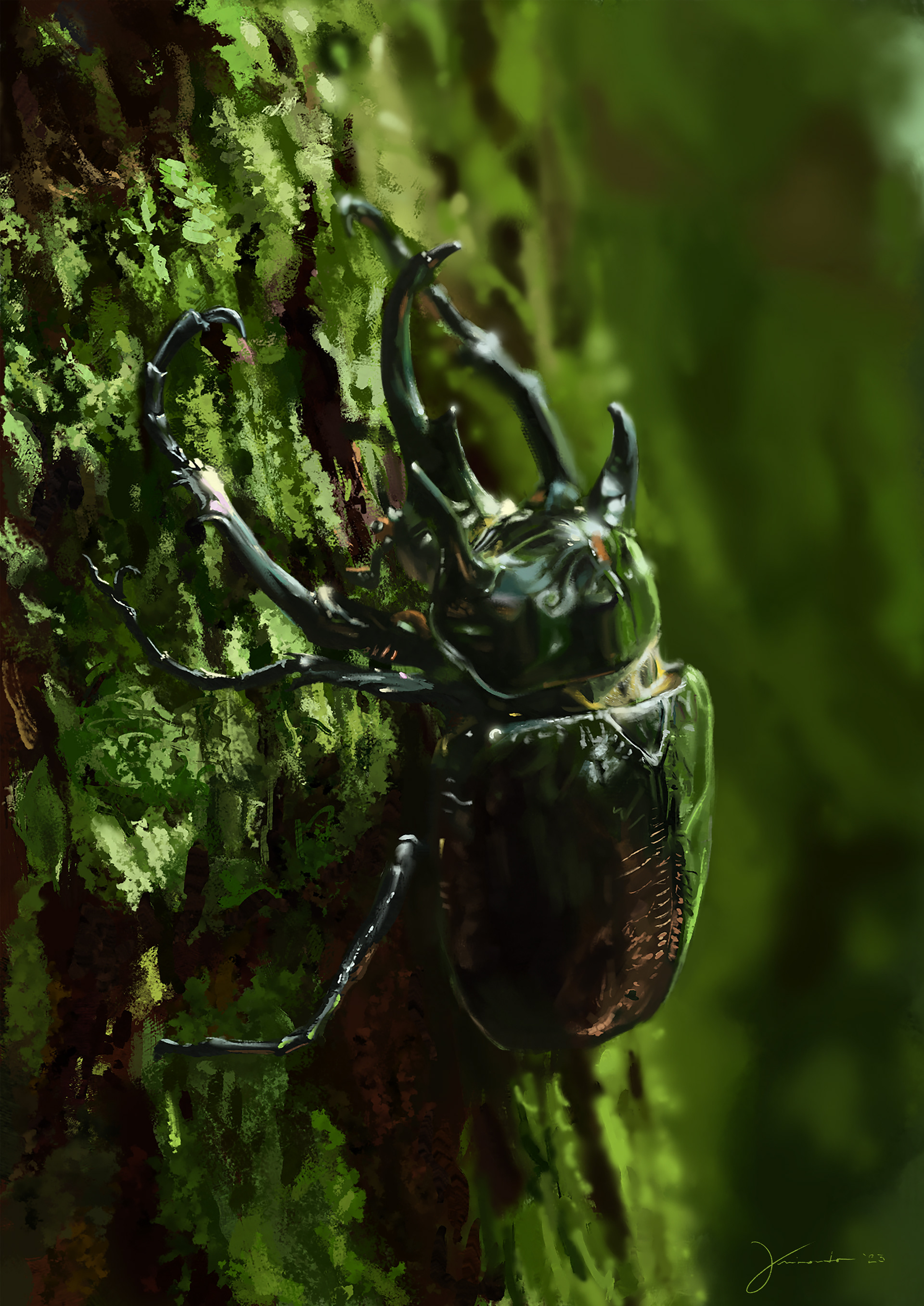 Study - Reference: https://unsplash.com/photos/a-large-black-insect-on-a-mossy-tree-CT4UbbBnXKA
