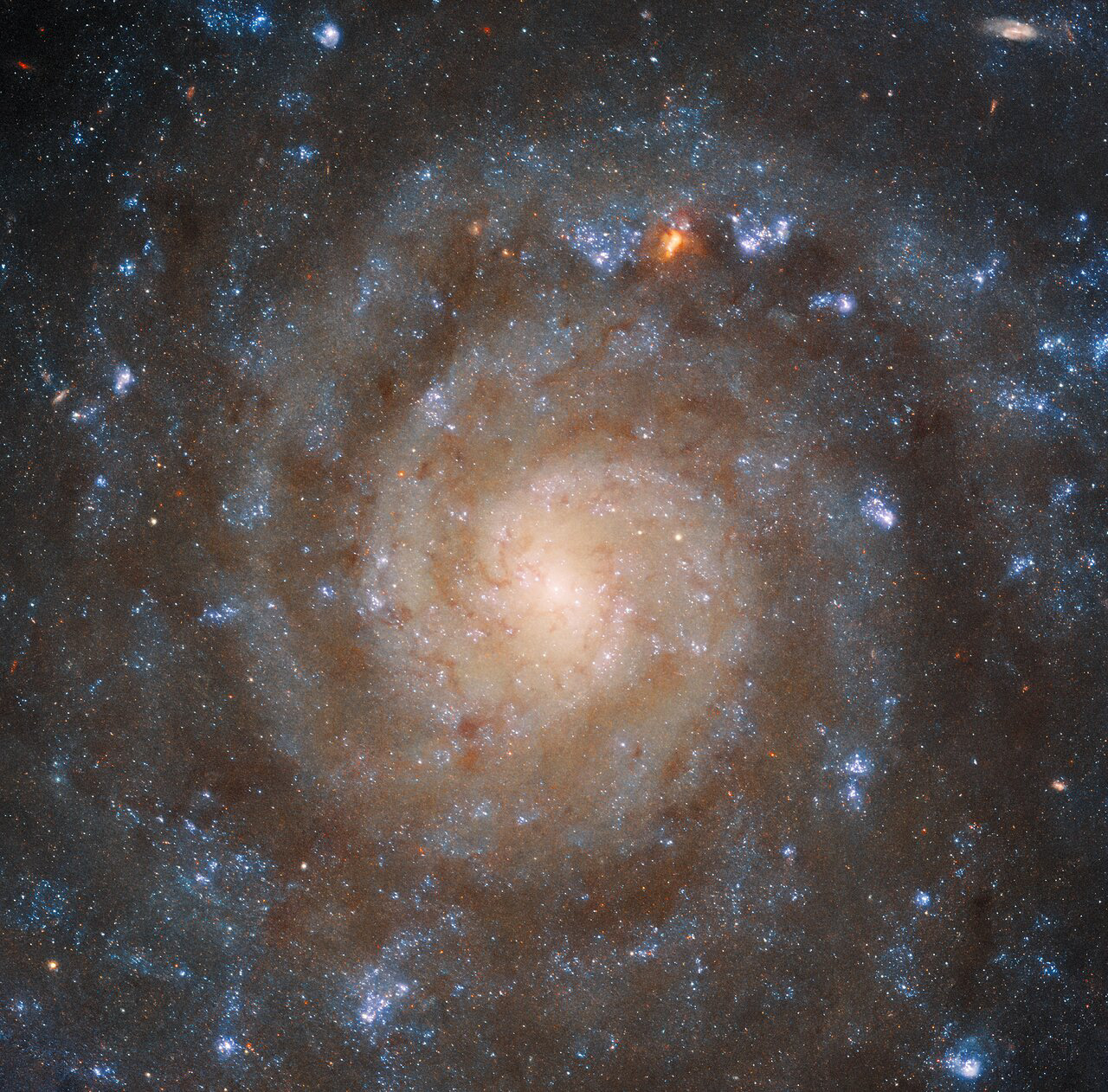 The winding spiral structure of the galaxy IC 5332 is portrayed in amazing detail by this image from the NASA/ESA Hubble Space Telescope. The clarity of Hubble’s Wide Field Camera 3 (WFC3) separates the arms of the galaxy from dark patches of dust in between, which block out the ultraviolet and visible light Hubble is sensitive to. Younger and older stars can be differentiated by their colours, showing how they are distributed throughout the galaxy. Meanwhile, Webb’s MIRI image provides a very different view, instead highlighting the patterns of gas spread throughout the galaxy. Credit: ESA/Webb, NASA & CSA, J. Lee and the PHANGS-JWST and PHANGS-HST Teams