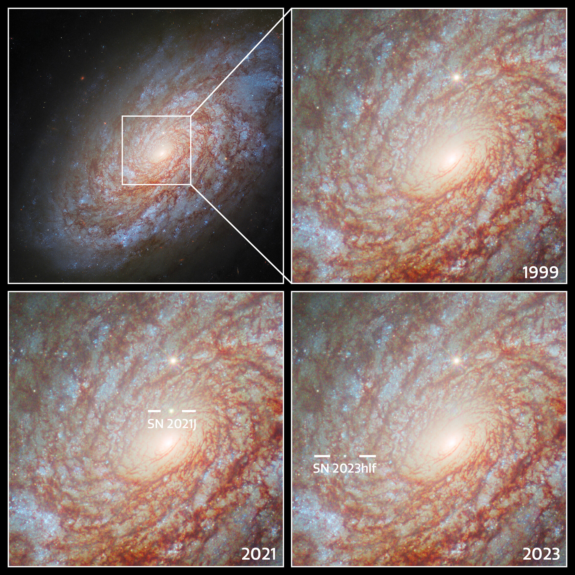Supernovae in NGC 4414 - Credit: ESA/Hubble & NASA, O. Graur, S. W. Jha, A. Filippenko 