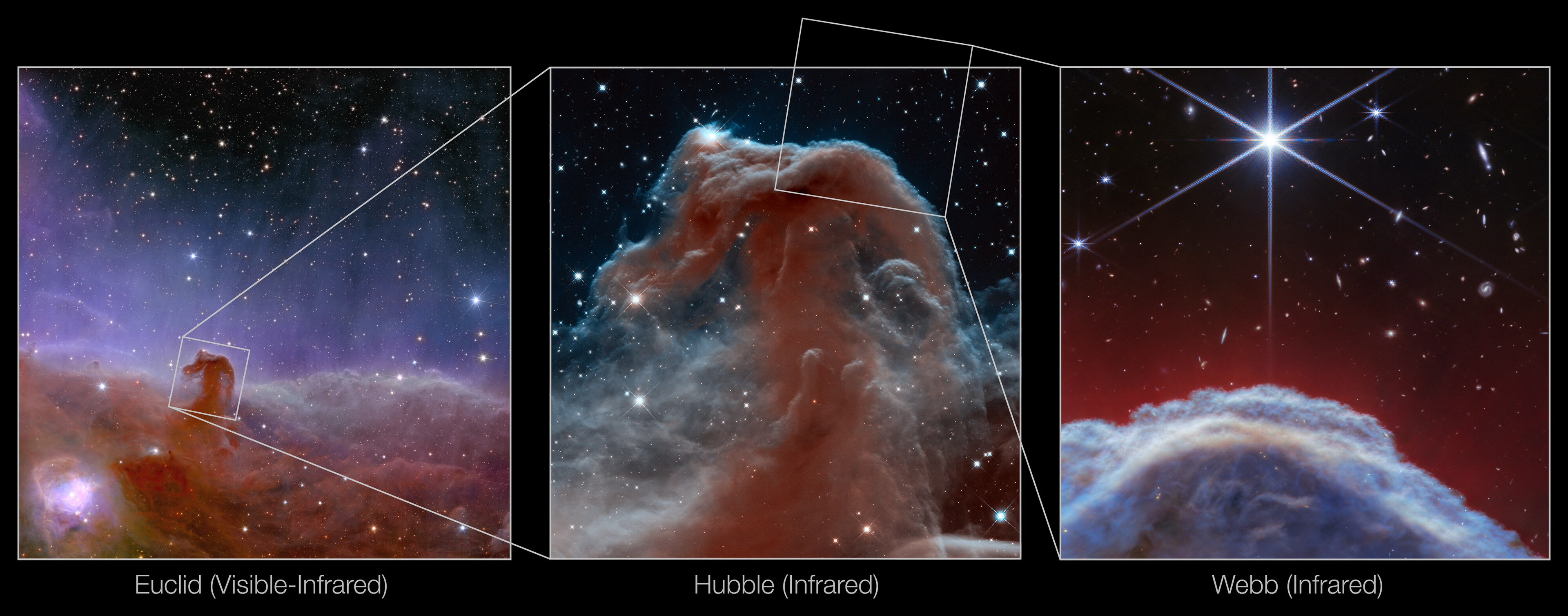 Horsehead Nebula (Euclid, Hubble and Webb images) - Credit: ESA/Euclid/Euclid Consortium/NASA, image processing by J.-C. Cuillandre (CEA Paris-Saclay), G. Anselmi, NASA, ESA, and the Hubble Heritage Team (AURA/STScI), ESA/Webb, CSA, K. Misselt (University of Arizona) and A. Abergel (IAS/University Paris-Saclay, CNRS), M. Zamani (ESA/Webb)