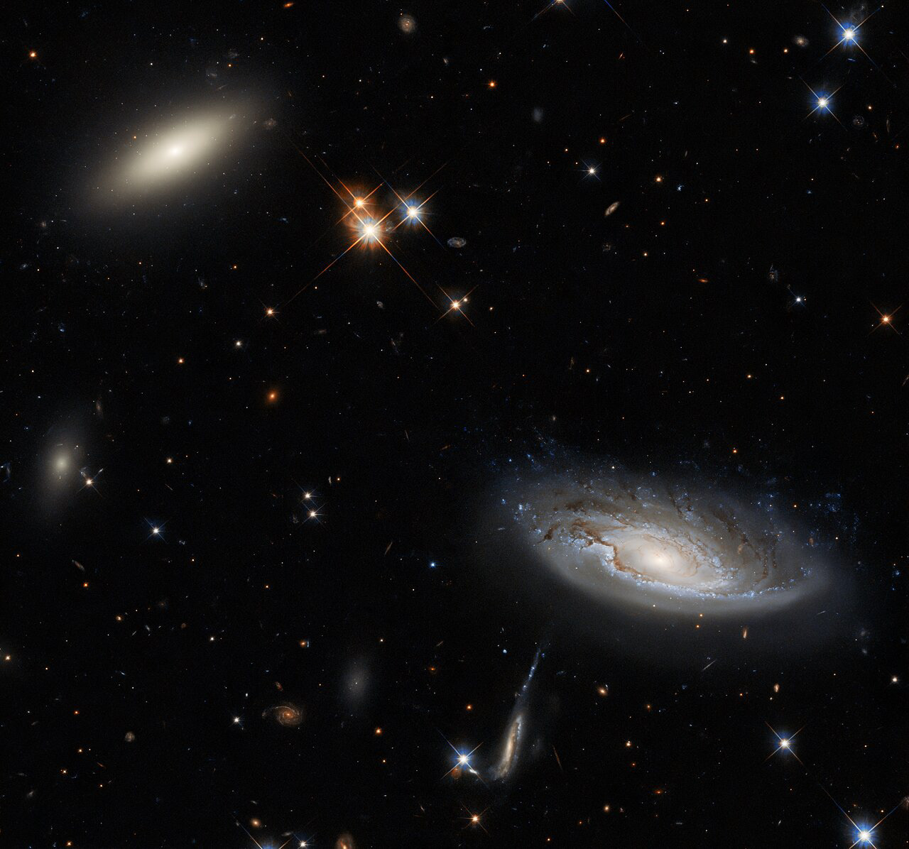 Two things capture your attention in this spectacular Picture of the Week, which was taken using Hubble’s Wide Field Camera 3 (WFC3): the two enormous galaxies that flank the left and right sides of the image. The galaxy on the left is a lenticular galaxy, which rejoices in the name of 2MASX J03193743+4137580. The side-on spiral galaxy on the right is more simply named UGC 2665. Both galaxies lie approximately 350 million light-years from Earth, and they both form part of the enormous Perseus galaxy cluster.   Perseus is an important figure in Greek mythology, renowned for slaying Medusa the Gorgon — who is herself famous for the unhappy reason that she was cursed to have living snakes for hair. Given Perseus’s impressive credentials, it seems appropriate that the eponymous galaxy cluster is one of the biggest objects in the known Universe, consisting of thousands of galaxies, only a few of which are visible in this image. The wonderful detail in the image is thanks to the WFC3’s powerful resolution and high sensitivity. The WFC3 is sensitive to both visible and infrared light, so those are the wavelengths that are captured in this image. The Perseus supercluster looks very different at other wavelengths. Whilst in this image the spaces between the galaxies appear dark and peaceful, when the X-ray emission is observed the Perseus cluster appears to be burning with bright intense light.  Links Video of One of the Greats Credit: ESA/Hubble & NASA, W. Harris Acknowledgement: L. Shatz