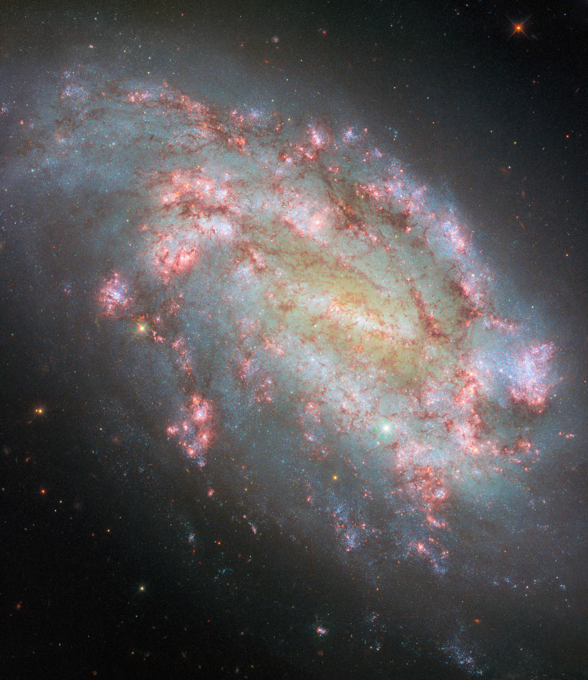 The light of knowledge - Credit: ESA/Hubble & NASA, F. Belfiore, W. Yuan, J. Lee and the PHANGS-HST Team, A. Riess, K. Takáts, D. de Martin & M. Zamani (ESA/Hubble)