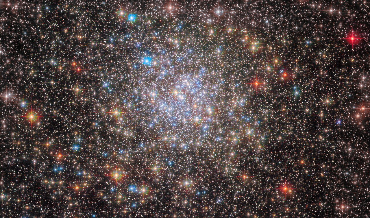 The scattered stars of the globular cluster NGC 6355 are strewn across this image from the NASA/ESA Hubble Space Telescope. This globular cluster lies less than 50,000 light-years from Earth in the Ophiuchus constellation. NGC 6355 is a galactic globular cluster that resides in our Milky Way galaxy's inner regions.  Globular clusters are stable, tightly bound clusters of tens of thousands to millions of stars, and can be found in all types of galaxies. Their dense populations of stars and mutual gravitational attraction give these clusters a roughly spherical shape, with a bright concentration of stars surrounded by an increasingly sparse sprinkling of stars. The dense, bright core of NGC 6355 was picked out in crystal-clear detail by Hubble in this image, and is the crowded area of stars towards the centre of this image.   With its vantage point above the distortions of the atmosphere, Hubble has revolutionised the study of globular clusters. It is almost impossible to distinguish the stars in globular clusters from one another with ground-based telescopes, but astronomers have been able to use Hubble to study the constituent stars of globular clusters in detail. This Hubble image of NGC 6355 contains data from both the Advanced Camera for Surveys and Wide Field Camera 3.  [Image description: A dense collection of stars covers the view. Towards the centre the stars become even more dense in a circular region, and also more blue. Around the edges there are some redder foreground stars, and many small stars in the background.] Credit: ESA/Hubble & NASA, E. Noyola, R. Cohen