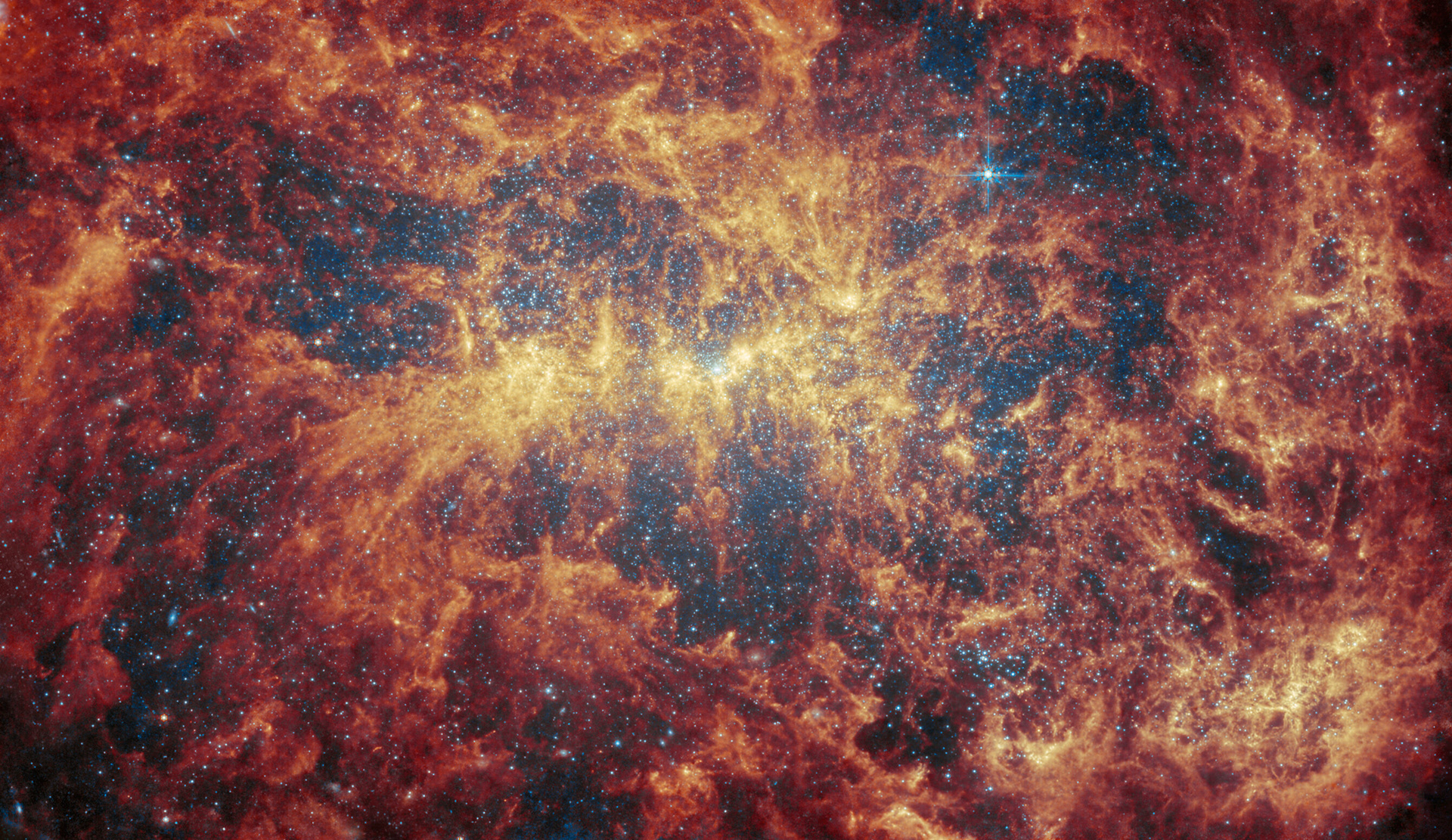 NGC 4449 (MIRI) - Credit:  ESA/Webb, NASA & CSA, A. Adamo (Stockholm University) and the FEAST JWST team