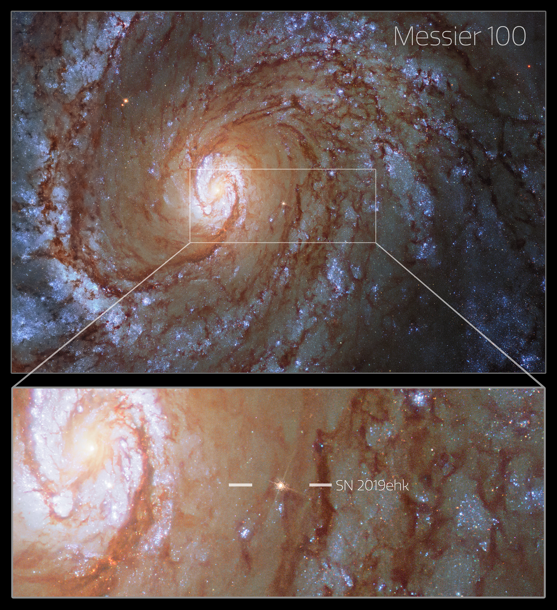 Hubble Space Telescope image of SN 2019ehk (annotated) Hubble Space Telescope image of SN 2019ehk in its spiral host galaxy, Messier 100.   The image is a composite made of pre- and post-explosion images.  Credit: CTIO/SOAR/NOIRLab/NSF/AURA/Northwestern University/C. Kilpatrick/University of California Santa Cruz/NASA-ESA Hubble Space Telescope