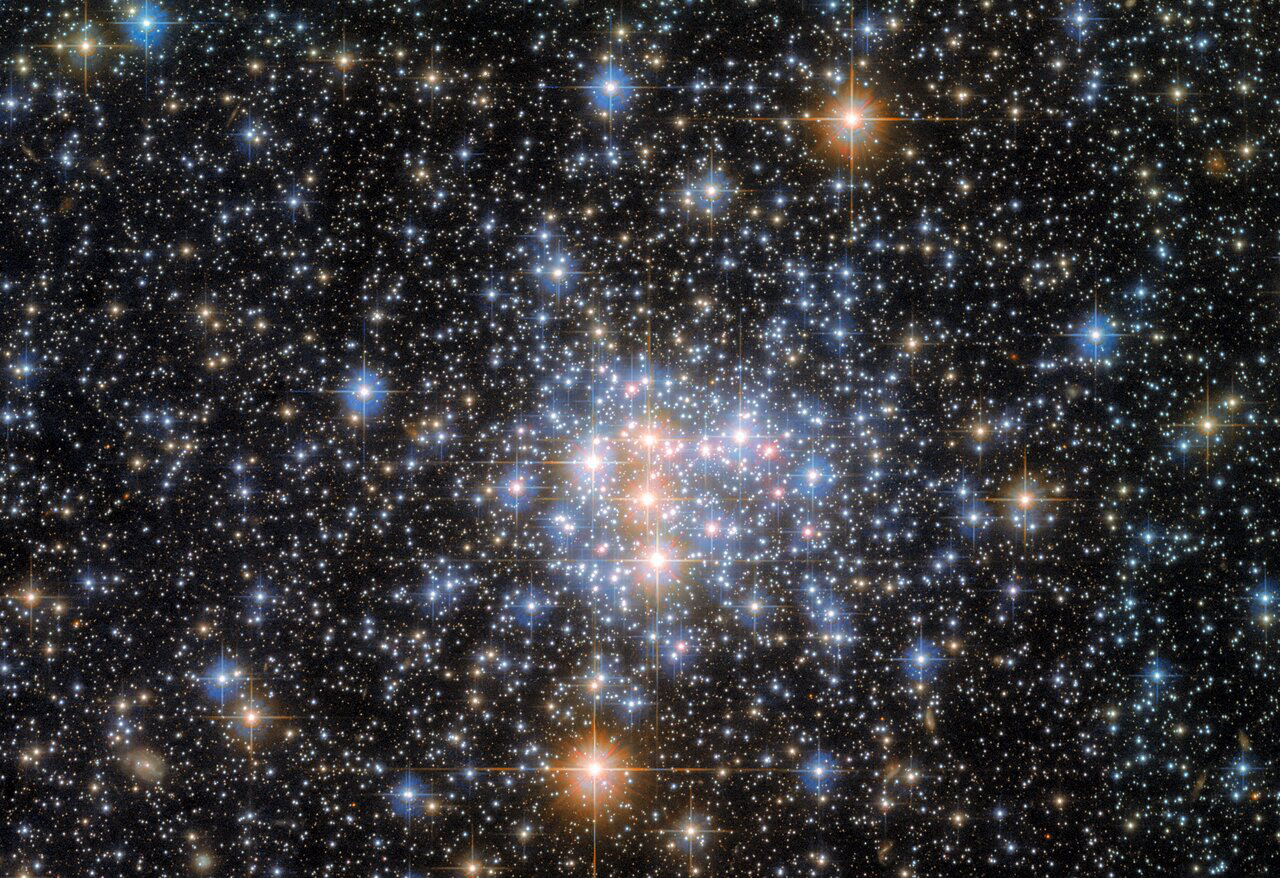 A small portion of the Small Magellanic Cloud (SMC) is pictured in this image from the NASA/ESA Hubble Space Telescope. The SMC is a dwarf galaxy and one of the Milky Way’s nearest neighbours, lying only about 200 000 light-years from Earth. It makes a pair with the Large Magellanic Cloud, and both objects can be seen from the southern hemisphere, as well as from some northern latitudes.  The Small Magellanic Cloud contains hundreds of millions of stars, but this image focuses on just a small fraction of them. These stars comprise the open cluster NGC 376, which has a total mass only about 3400 times that of the Sun. Open clusters, as the name suggests, are loosely bound and sparsely populated. This distinguishes open clusters from globular clusters, which are often so thronged with stars that they have a continuous blur of starlight at their centres. In the case of NGC 376, individual stars can be picked out clearly even in the most densely populated parts of this image.  The data in this image come from two different astronomical investigations which relied on two of Hubble’s instruments: the Wide Field Camera 3 (WFC3) and the Advanced Camera for Surveys (ACS). The first investigation used the ACS to explore a handful of star clusters in the Small Magellanic Cloud and help astronomers explore topics including the abundance of low- and high-mass stars in different environments. The second investigation used both the WFC3 and ACS, and aimed to answer fundamental questions about the lives of stars and help astronomers understand precisely where, when, why and how stars form.  [Image description: A large number of bright stars, each with a cross-shape extending from its centre. In the centre there is a dense collection of foreground stars. Five are orange and the rest are blue. The black background is filled with small stars — most of them, however, larger than a single point.]  Links Video of Head in the Clouds Credit: ESA/Hubble & NASA, A. Nota, G. De Marchi