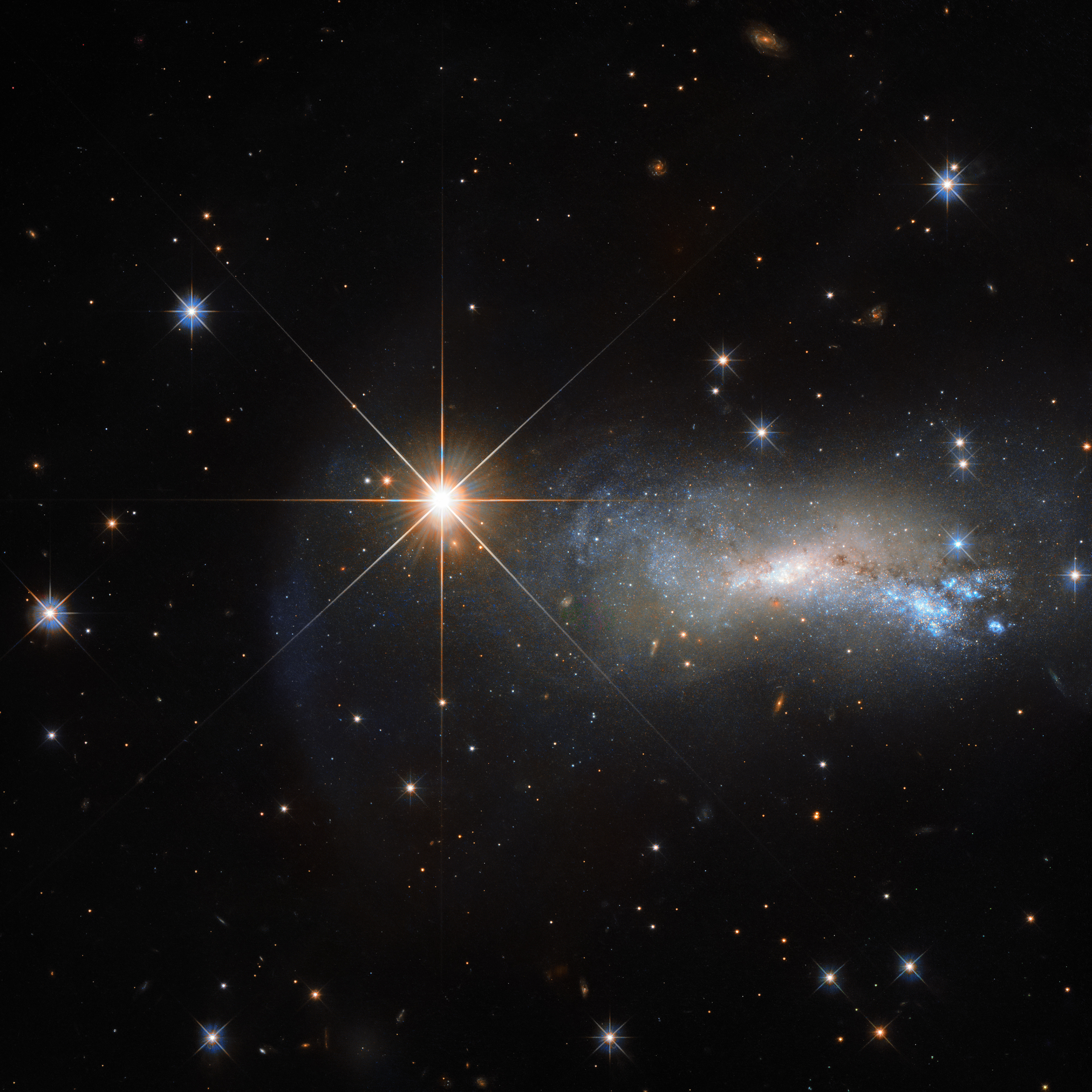 In space, being outshone is an occupational hazard. This NASA/ESA Hubble Space Telescope image captures a galaxy named NGC 7250. Despite being remarkable in its own right — it has bright bursts of star formation and recorded supernova explosions — it blends into the background somewhat thanks to the gloriously bright star hogging the limelight next to it.  This bright object is a single and little-studied star named TYC 3203-450-1, located in the constellation of Lacerta (The Lizard), much closer than the much more distant galaxy. Only this way a normal star can outshine an entire galaxy, consisting of billions of stars. Astronomers studying distant objects call these stars “foreground stars” and they are often not very happy about them, as their bright light is contaminating the faint light from the more distant and interesting objects they actually want to study.  In this case TYC 3203-450-1 million times closer than NGC 7250 which lies over 45 million light-years away from us. Would the star be the same distance as NGC 7250, it would hardly be visible in this image. Credit: ESA/Hubble & NASA