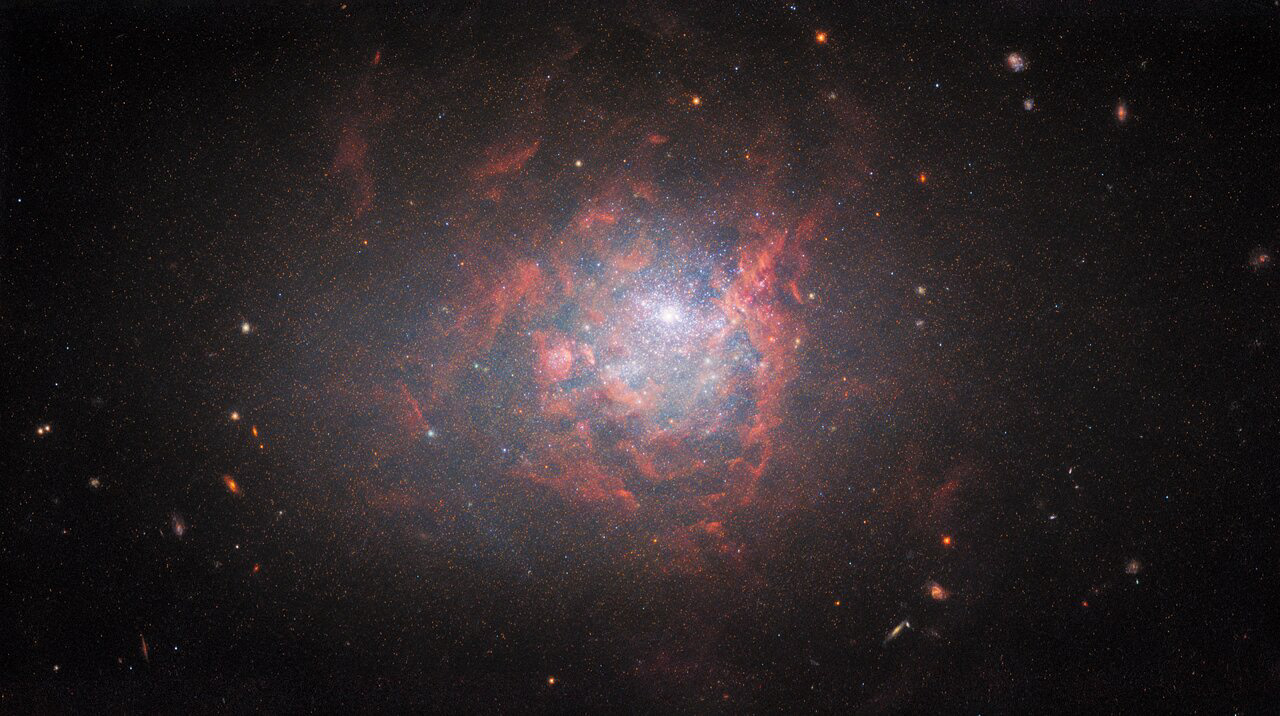 The dwarf galaxy NGC 1705 is featured in this image from the NASA/ESA Hubble Space Telescope. This diminutive galaxy lies in the southern constellation Pictor, and is approximately 17 million light-years from Earth. NGC 1705 is a cosmic oddball — it is small, irregularly shaped, and has recently undergone a spate of star formation known as a starburst.   Despite these eccentricities, NGC 1705 and other dwarf irregular galaxies like it can provide valuable insights into the overall evolution of galaxies. Dwarf irregular galaxies tend to contain few elements other than hydrogen or helium, and are considered to be similar to the earliest galaxies that populated the Universe.  The data shown in this image come from a series of observations designed to unveil the interplay between stars, star clusters, and ionised gas in nearby star-forming galaxies. By observing a specific wavelength of light known as H-alpha with Hubble’s Wide Field Camera 3, astronomers aimed to discover thousands of emission nebulae — regions created when hot, young stars bathe the clouds of gas surrounding them in ultraviolet light, causing them to glow.  This is not the first time that NGC 1705 has been imaged by Hubble — astronomers peered into the heart of the galaxy in 1999 using Hubble’s workhorse camera at the time, the Wide Field Planetary Camera 2. This instrument was replaced with the Wide Field Camera 3 during the fifth and final Space Shuttle mission to Hubble in 2009, and the newer instrument has provided a richer and far more detailed portrait of NGC 1705 than the 1999 observation.  Credit: ESA/Hubble & NASA, R. Chandar