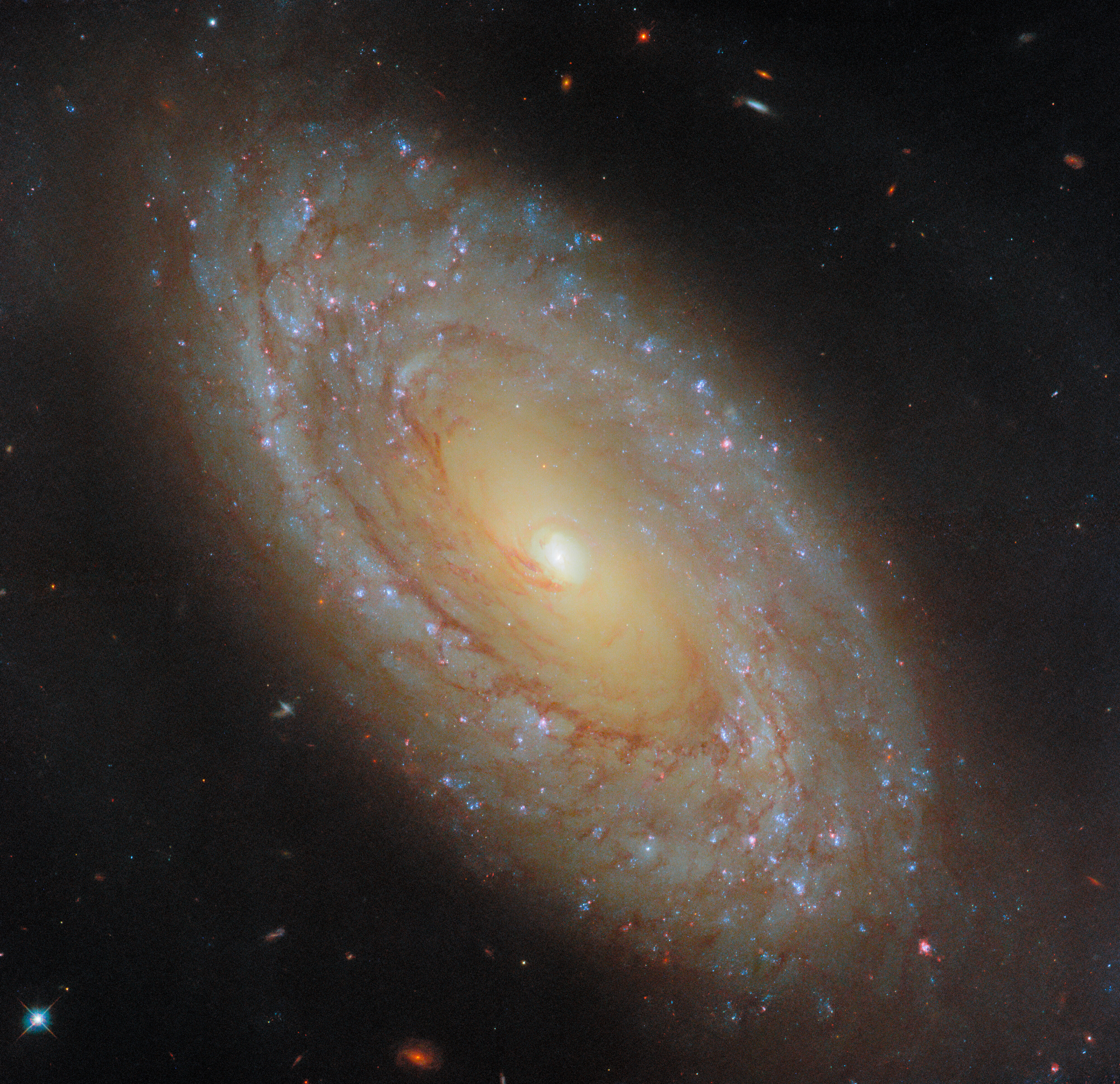 A galaxy that gives great feedback - Credit: ESA/Hubble & NASA, D. Thilker