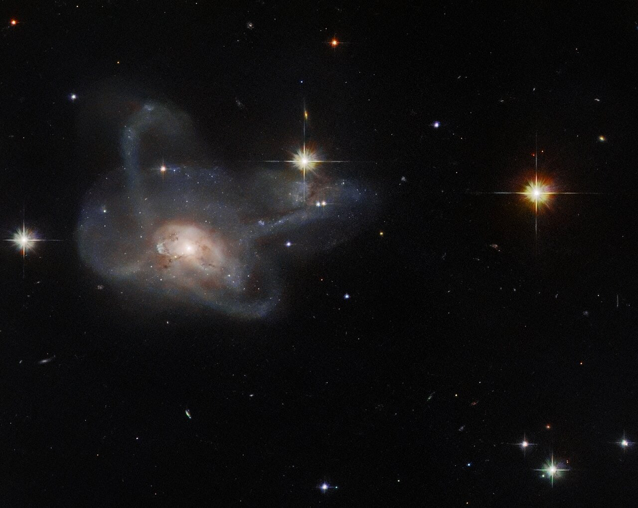 This NASA/ESA Hubble Space Telescope observation has captured the galaxy CGCG 396-2, an unusual multi-armed galaxy merger which lies around 520 million light-years from Earth in the constellation Orion.   This observation is a gem from the Galaxy Zoo project, a citizen science project in which hundreds of thousands of volunteers classified galaxies to help scientists solve a problem of astronomical proportions — how to sort through the vast amounts of data generated by robotic telescopes. Following a public vote, a selection of the most astronomically intriguing objects from the Galaxy Zoo were selected for follow-up observations with Hubble. CGCG 396-2 is one such object, and was captured in this image by Hubble’s Advanced Camera for Surveys.  The Galaxy Zoo project originated when an astronomer was set an impossibly mind-numbing task; classifying more than 900 000 galaxies by eye. By making a web interface and inviting citizen scientists to contribute to the challenge, the Galaxy Zoo team was able to crowdsource the analysis, and within six months a legion of 100 000 volunteer citizen astronomers had contributed more than 40 million galaxy classifications. Since its initial success, the Galaxy Zoo project and its successor projects have contributed to more than 100 peer-reviewed scientific articles and led to a rich variety of intriguing astronomical discoveries above and beyond their initial goals. The success of the project also inspired more than 100 citizen science projects on the Zooniverse portal, ranging from analysing data from the ESA Rosetta spacecraft's visit to Comet 67P/Churyumov–Gerasimenko to counting killer whales around remote Alaskan islands!  Links Video of Hubble Spies a Galactic Gem Credit:  ESA/Hubble & NASA, W. Keel