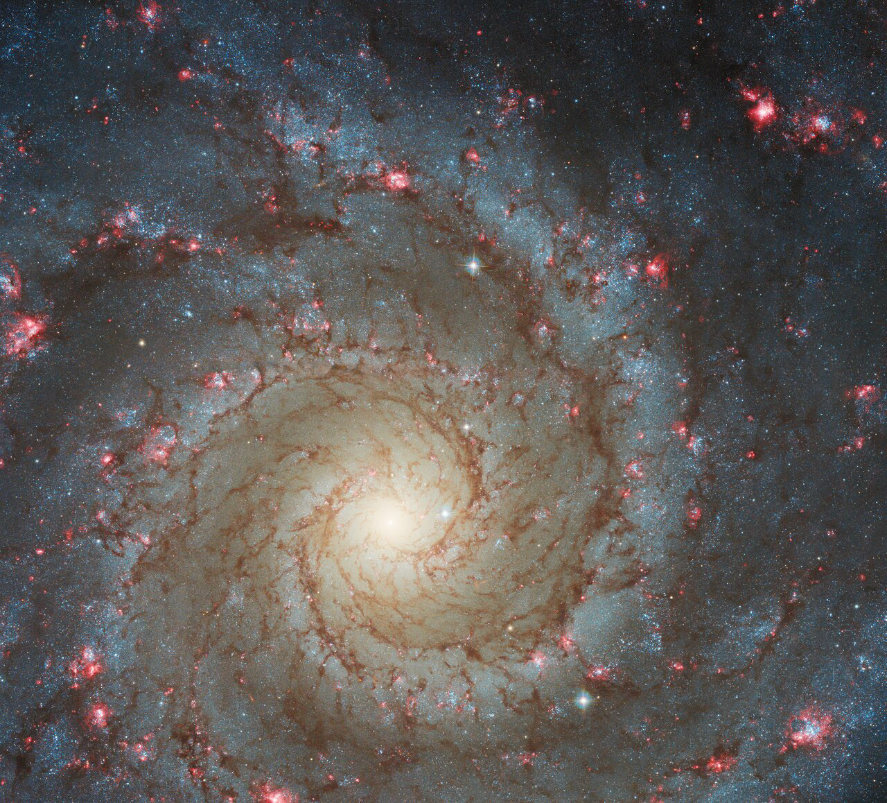 The arms of the spiral galaxy M74 are studded with rosy pink regions of fresh star formation in this image from the NASA/ESA Hubble Space Telescope. M74 — also known as the Phantom Galaxy — lies around 32 million light-years away from Earth in the constellation Pisces, and is a familiar sight for Hubble. The beautiful reddish blooms that spread throughout M74 are huge clouds of hydrogen gas which are made to glow by the ultraviolet radiation from hot, young stars embedded within them. These regions — which astronomers refer to as H II regions — mark the location of recent star formation and are an important target for both space- and ground-based telescopes. Hubble’s Advanced Camera for Surveys, which collected the data in this image, even has a filter designed to pick out only this specific red wavelength of light!  The data in this image come from a set of observations exploring the evolution of local spiral galaxies such as M74, which aim to gain insights into the history of star formation in these spirals. To do this astronomers examined star clusters to date the different parts of spiral galaxies, enabling them to understand how the galaxies assembled over time. They also explored the distribution of dust in spiral galaxies; this dust is visible in this image as the dark threads winding along the spiral arms of M74.  Aside from their quest to understand the history of spiral galaxies, astronomers also observed M74 to complement observations from other telescopes. Combining observations of the same object from different telescopes across the electromagnetic spectrum gives astronomers far more insight than observations from a single telescope would. Hubble’s observations also paved the way for future instruments; M74 was one of the first targets of the powerful new NASA/ESA/CSA James Webb Space Telescope. Credit: ESA/Hubble & NASA, R. Chandar