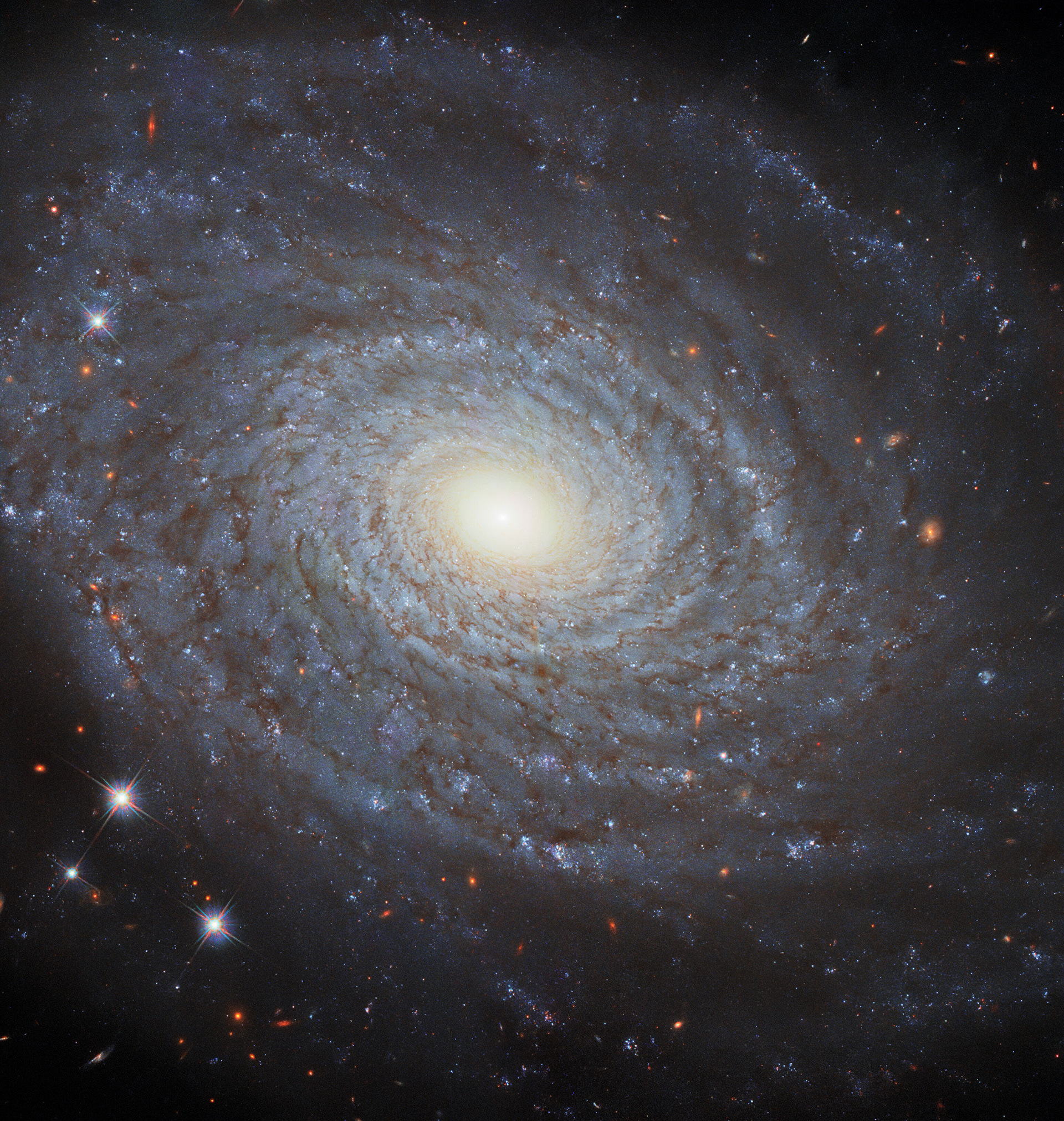 This image features the spiral galaxy NGC 691, imaged in fantastic detail by Hubble’s Wide Field Camera 3 (WFC3). This galaxy is the eponymous member of the NGC 691 galaxy group, a group of gravitationally bound galaxies that lie about 120 million light-years from Earth.   Objects such as NGC 691 are observed by Hubble using a range of filters. Each filter only allows certain wavelengths of light to reach Hubble’s WFC3. The images collected using different filters are then coloured by specialised visual artists who can make informed choices about which colour best corresponds to which filter. By combining the coloured images from individual filters, a full-colour image of the astronomical object can be recreated. In this way, we can get remarkably good insight into the nature and appearance of these objects.  Links Video of the Eponymous NGC 691 Credit: ESA/Hubble & NASA, A. Riess et al. Acknowledgement: M. Zamani