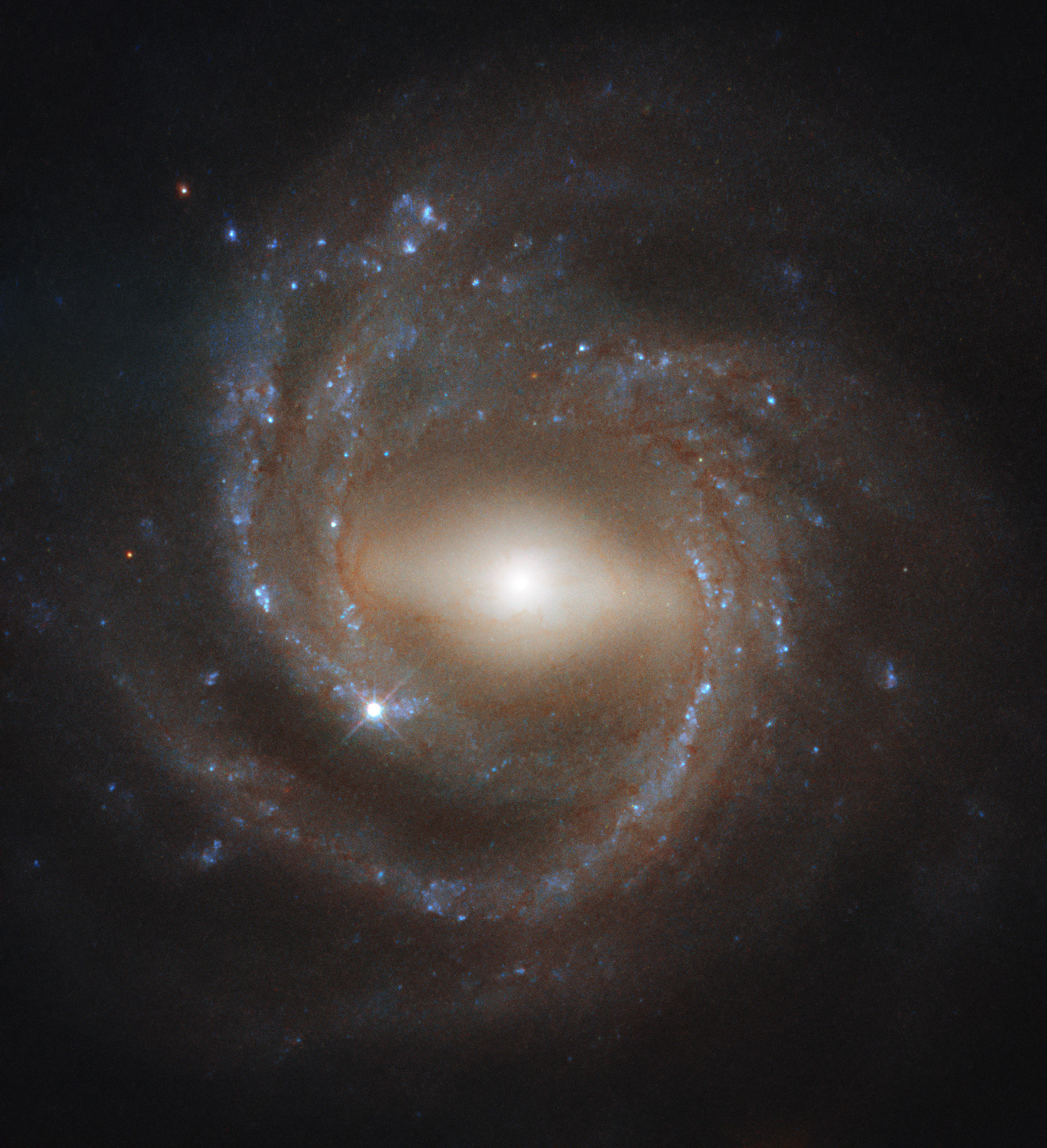 This striking image was taken by the NASA/ESA Hubble Space Telescope’s Wide Field Camera 3, a powerful instrument installed on the telescope in 2009. WFC3 is responsible for many of Hubble’s most breathtaking and iconic photographs, including Pictures of the Week.  Shown here, NGC 7773 is a beautiful example of a barred spiral galaxy. A luminous bar-shaped structure cuts prominently through the galaxy's bright core, extending to the inner boundary of NGC 7773's sweeping, pinwheel-like spiral arms. Astronomers think that these bar structures emerge later in the lifetime of a galaxy, as star-forming material makes its way towards the galactic centre — younger spirals do not feature barred structures as often as older spirals do, suggesting that bars are a sign of galactic maturity. They are also thought to act as stellar nurseries, as they gleam brightly with copious numbers of youthful stars.  Our galaxy, the Milky Way, is thought to be a barred spiral like NGC 7773. By studying galactic specimens such as NGC 7773 throughout the Universe, researchers hope to learn more about the processes that have shaped — and continue to shape — our cosmic home.  Credit: ESA/Hubble & NASA, J. Walsh