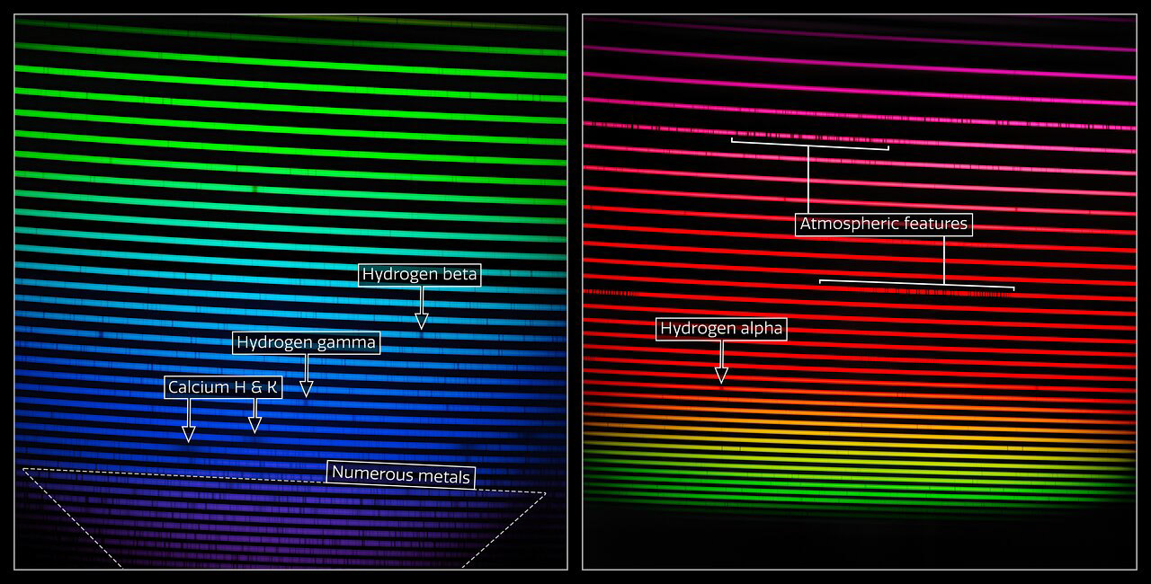 This mosaic shows the two GHOST spectra of HD 222925, a remarkably bright, chemically complex star. This star is a prime example of the type of object that GHOST will investigate.   The dark lines in the rainbow are absorption lines — fingerprints of the gasses present in the star, including hydrogen, calcium, and also numerous metals like iron and gold. To the right a number of features from molecules in the Earth’s own atmosphere are seen. Any ground-based observation is subject to contamination from telluric (Earth-originating) sources like water vapor and oxygen. The effect of these lines is normally removed in subsequent steps of the analysis process.       Credit: International Gemini Observatory/NOIRLab/NSF/AURA/GHOST Consortium