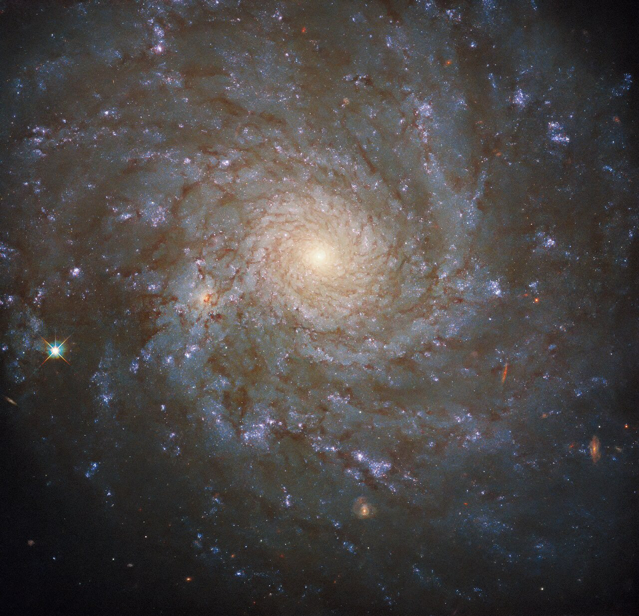 This cosmic portrait — captured with the NASA/ESA Hubble Space Telescope’s Wide Field Camera 3 — shows a stunning view of the spiral galaxy NGC 4571, which lies approximately 60 million light-years from Earth in the constellation Coma Berenices. This constellation — whose name translates as Bernice’s Hair — was named after an Egyptian queen who lived more than 2200 years ago.  As majestic as spiral galaxies like NGC 4571 are, they are far from the largest structures known to astronomers. NGC 4571 is part of the Virgo cluster, which contains more than a thousand galaxies. This cluster is in turn part of the larger Virgo supercluster, which also encompasses the Local Group which contains our own galaxy, the Milky Way. Even larger than superclusters are galaxy filaments  — the largest known structures in the Universe.  This image comes from a large programme of observations designed to produce a treasure trove of combined observations from two great observatories: Hubble and ALMA. ALMA, The Atacama Large Millimeter/submillimeter Array, is a vast telescope consisting of 66 high-precision antennas high in the Chilean Andes, which together observe at wavelengths between infrared and radio waves. This allows ALMA to detect the clouds of cool interstellar dust which give rise to new stars. Hubble’s razor-sharp observations at ultraviolet wavelengths, meanwhile, allows astronomers to pinpoint the location of hot, luminous, newly formed stars. Together, the ALMA and Hubble observations provide a vital repository of data to astronomers studying star formation, as well as laying the groundwork for future science with the NASA/ESA/CSA James Webb Space Telescope.  Credit: ESA/Hubble & NASA, J. Lee and the PHANGS-HST Team