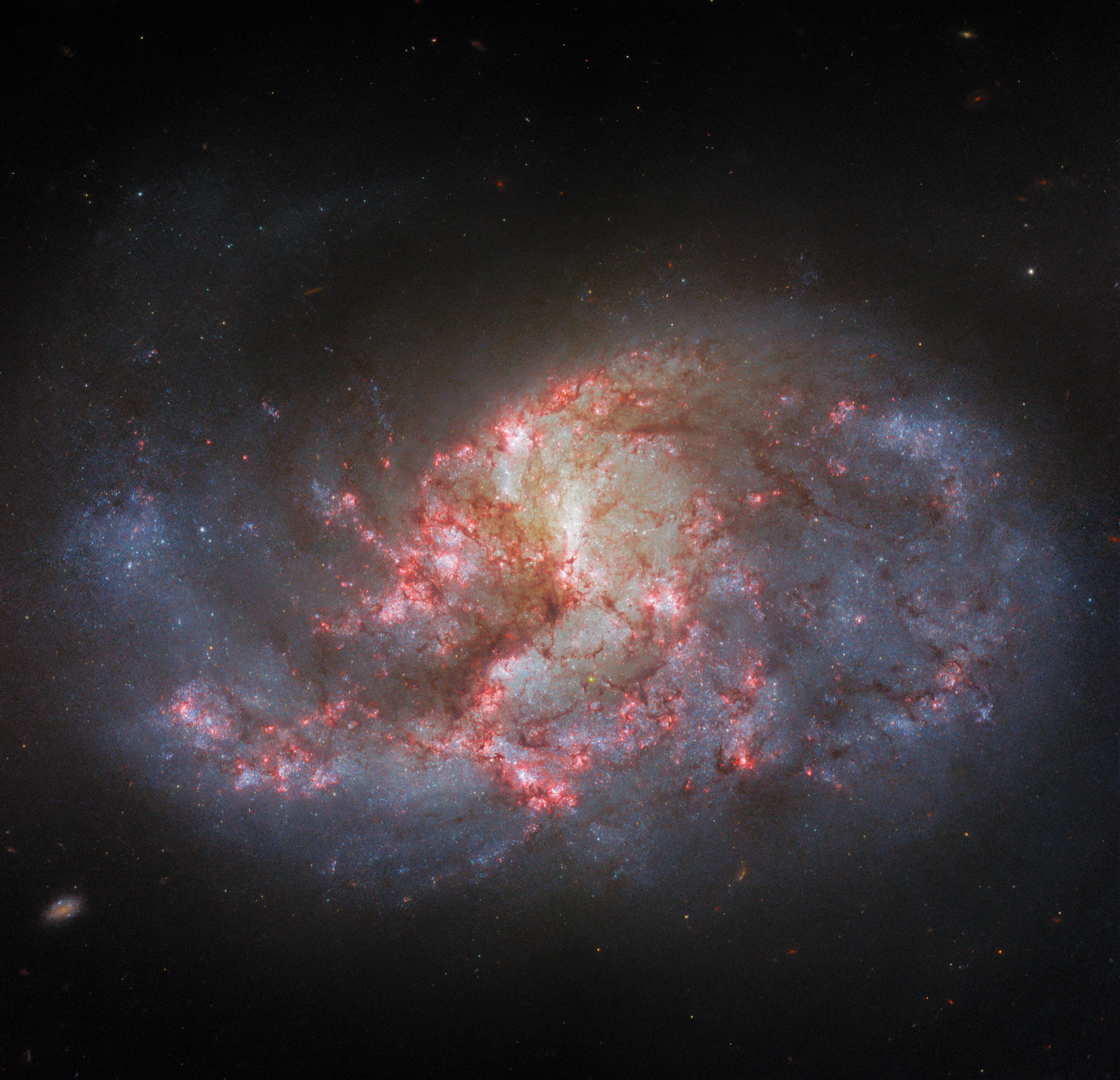 Same galaxy, different filters- Credit: ESA/Hubble & NASA, R. Chandar, J. Lee and the PHANGS-HST team
