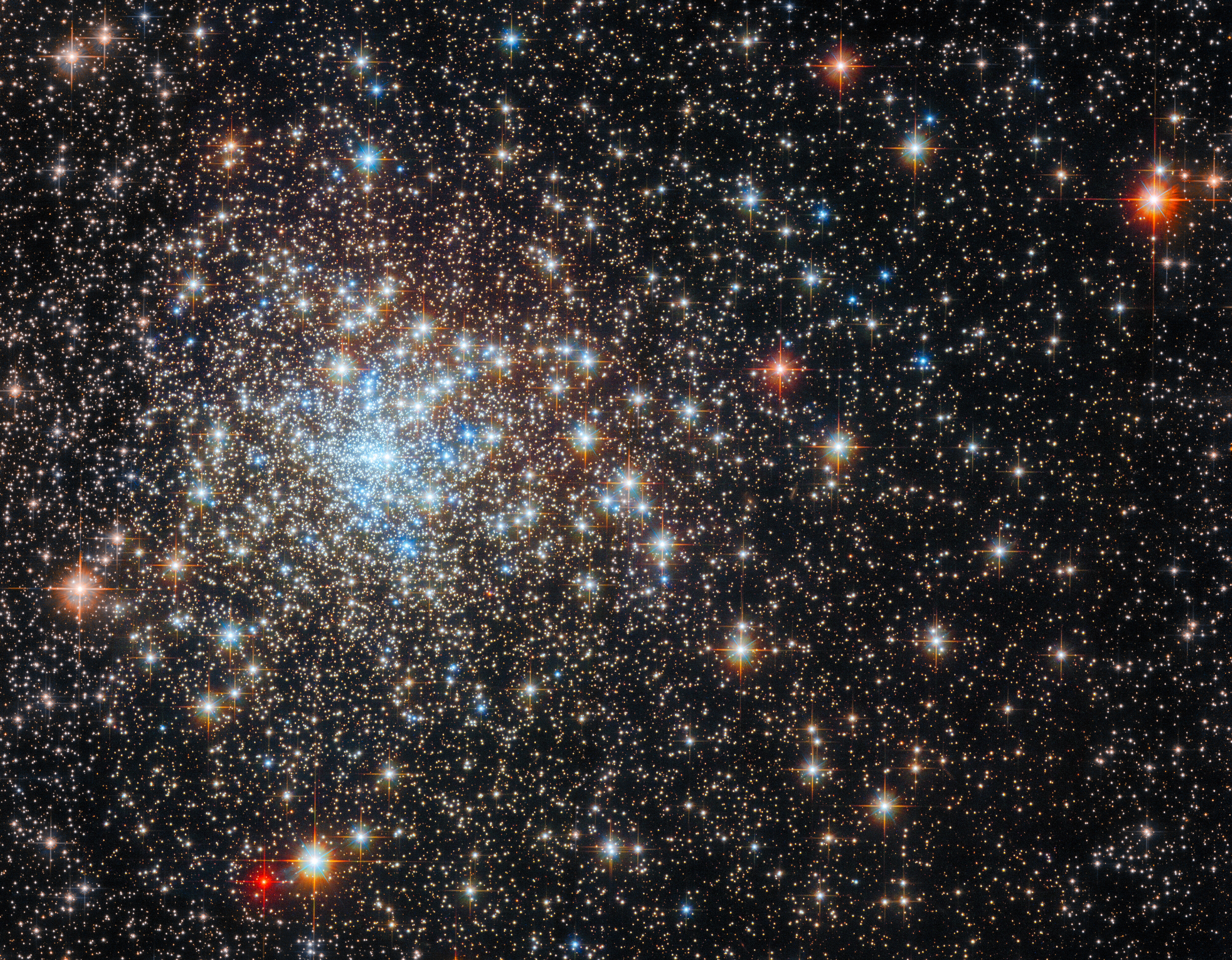 Scrutinising a star-studded cluster - Credit: ESA/Hubble & NASA, E. Noyola, R. Cohen
