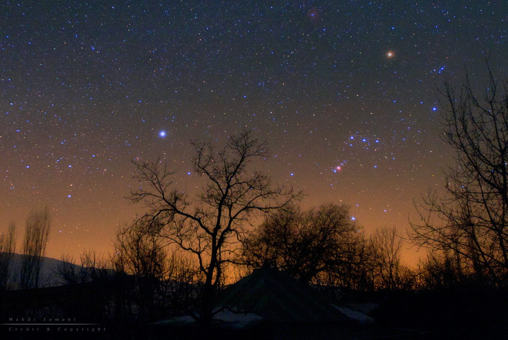 The hunt... Orion & Canis major's colourful stars over winter trees. Alamout, Iran, March2011