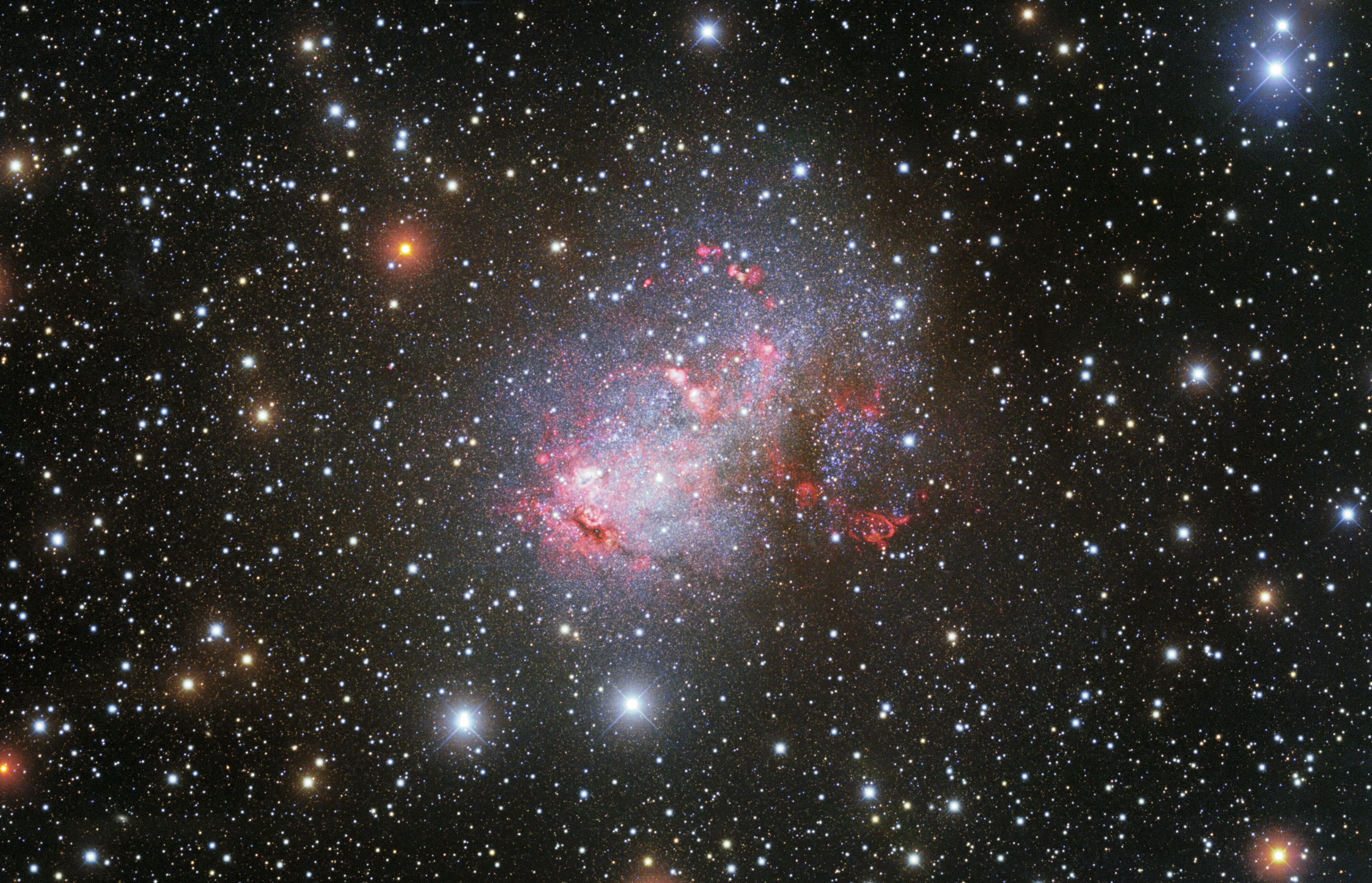 KPNO captures irregular starburst galaxy IC 10 in glorious detail  This striking image from NOIRLab’s Kitt Peak National Observatory (KPNO) presents a portrait of the irregular galaxy IC 10, a disorderly starburst galaxy close to the Milky Way. As well as a population of bright young stars, this irregular galaxy harbors exotic Wolf-Rayet stars and a black hole. IC 10 lies around 2 million light-years from Earth in the direction of the constellation of Cassiopeia. Though this distance seems huge, it puts IC 10 in the ever-growing Local Group of galaxies.  Credit: KPNO/NOIRLab/NSF/AURA Data obtained and processed by: P. Massey (Lowell Obs.), G. Jacoby, K. Olsen, & C. Smith (NOAO/AURA/NSF) Image processing: Travis Rector (University of Alaska Anchorage), Mahdi Zamani & Davide de Martin