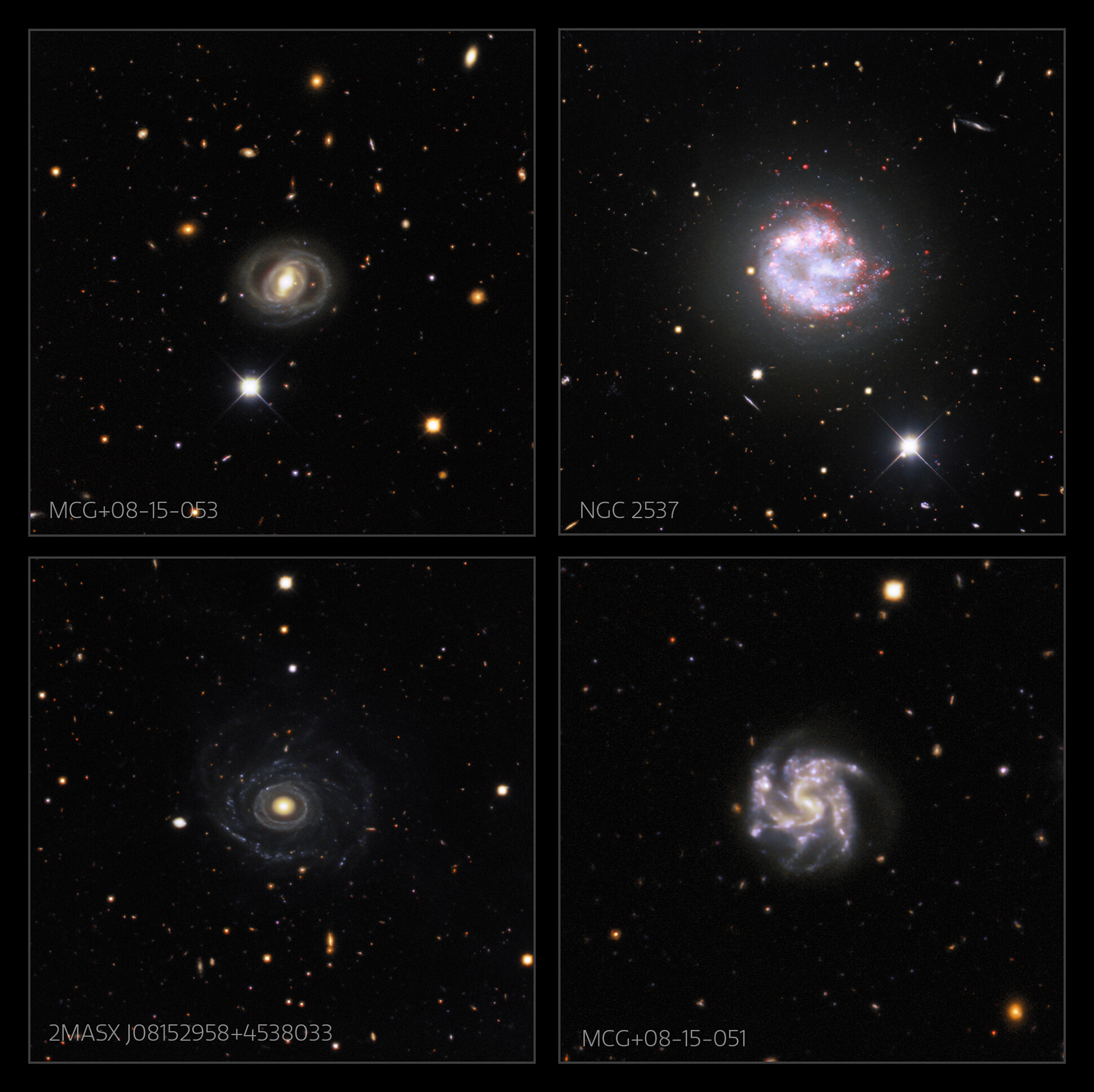 Galaxies that appear in the full field of Image of the Week iotw2053. The individual images are here.  Credit: KPNO/NOIRLab/NSF/AURA.   Acknowledgments: PI: M T. Patterson (New Mexico State University) Image processing: Travis Rector (University of Alaska Anchorage), Mahdi Zamani & Davide de Martin