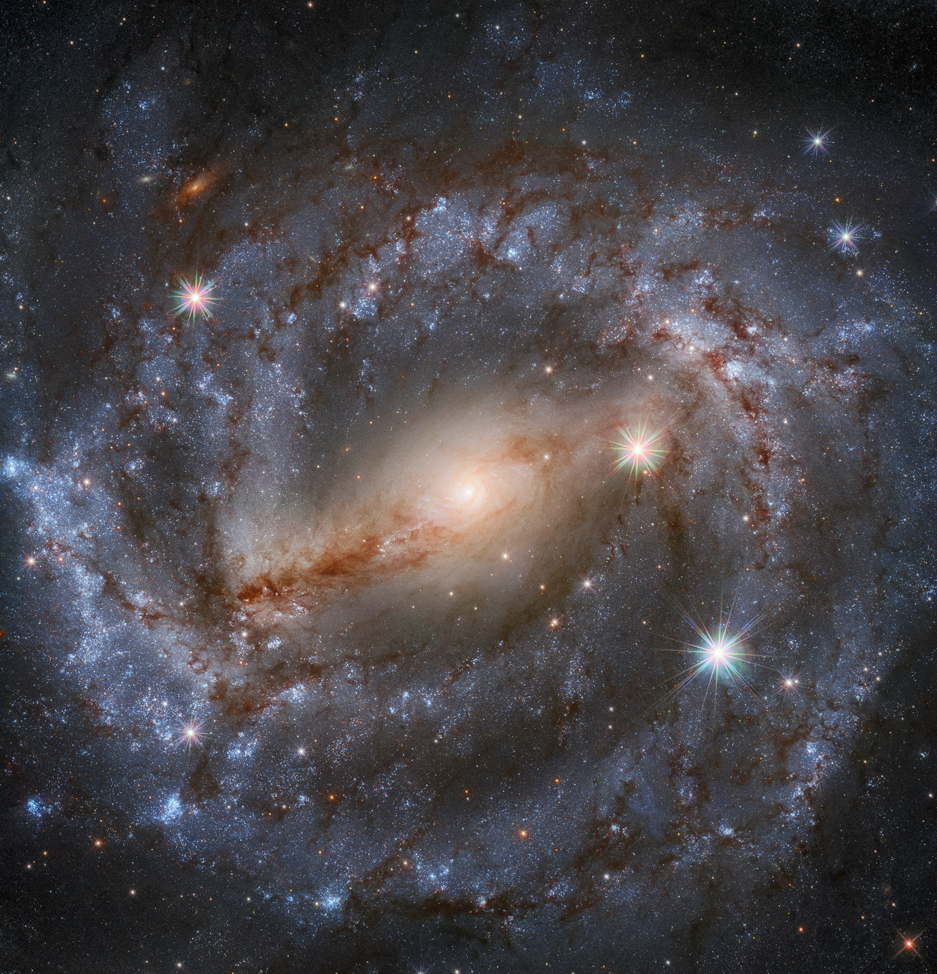 This stunning image by the NASA/ESA Hubble Space Telescope features the spiral galaxy NGC 5643 in the constellation of Lupus (The Wolf). Looking this good isn’t easy; thirty different exposures, for a total of 9 hours observation time, together with the high resolution and clarity of Hubble, were needed to produce an image of such high level of detail and of beauty.  NGC 5643 is about 60 million light-years away from Earth and has been the host of a recent supernova event (not visible in this latest image). This supernova (2017cbv) was a specific type in which a white dwarf steals so much mass from a companion star that it becomes unstable and explodes. The explosion releases significant amounts of energy and lights up that part of the galaxy.  The observation was proposed by Adam Riess, who was awarded a Nobel Laureate in physics 2011 for his contributions to the discovery of the accelerating expansion of the Universe, alongside Saul Perlmutter and Brian Schmidt.  Credit: ESA/Hubble & NASA, A. Riess et al.  Acknowledgement: Mahdi Zamani