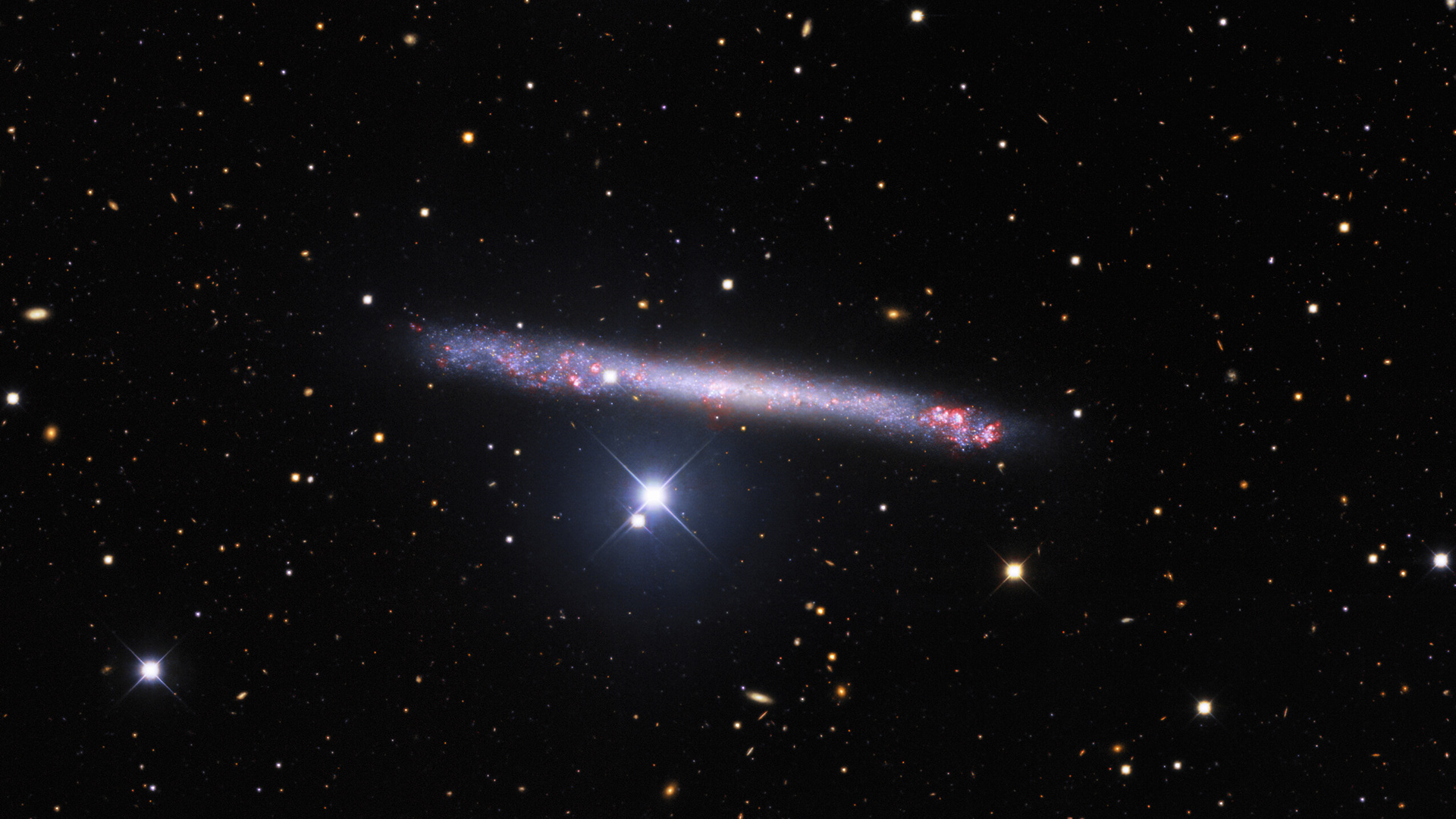 The remarkably thin galaxy IC 2233 is featured in this image from the Nicholas U. Mayall 4-meter Telescope at Kitt Peak National Observatory, a Program of NSF’s NOIRLab. IC 2233’s needle-thin profile is due to both its structure and its orientation towards Earth. The galaxy’s orientation — known to astronomers as inclination — is almost exactly side-on, making this one of the flattest galaxies known. The exposure of this particular image is deep and the entire field littered with galaxies of various types of inclinations.  As well as lying flat from our point of view, IC 2233 also lacks the prominent bulge that fattens the profile of spiral galaxies such as Andromeda and the Milky Way.  The wafer-thin profile of this celestial needle has been fascinating observers for nearly 150 years — IC 2233 was first discovered in 1874 by the Welsh amateur astronomer Isaac Roberts, one of the pioneers of astrophotography.   Credit: KPNO/NOIRLab/NSF/AURA.   Acknowledgments:  PI: M T. Patterson (New Mexico State University) Image processing: Travis Rector (University of Alaska Anchorage), Mahdi Zamani & Davide de Martin