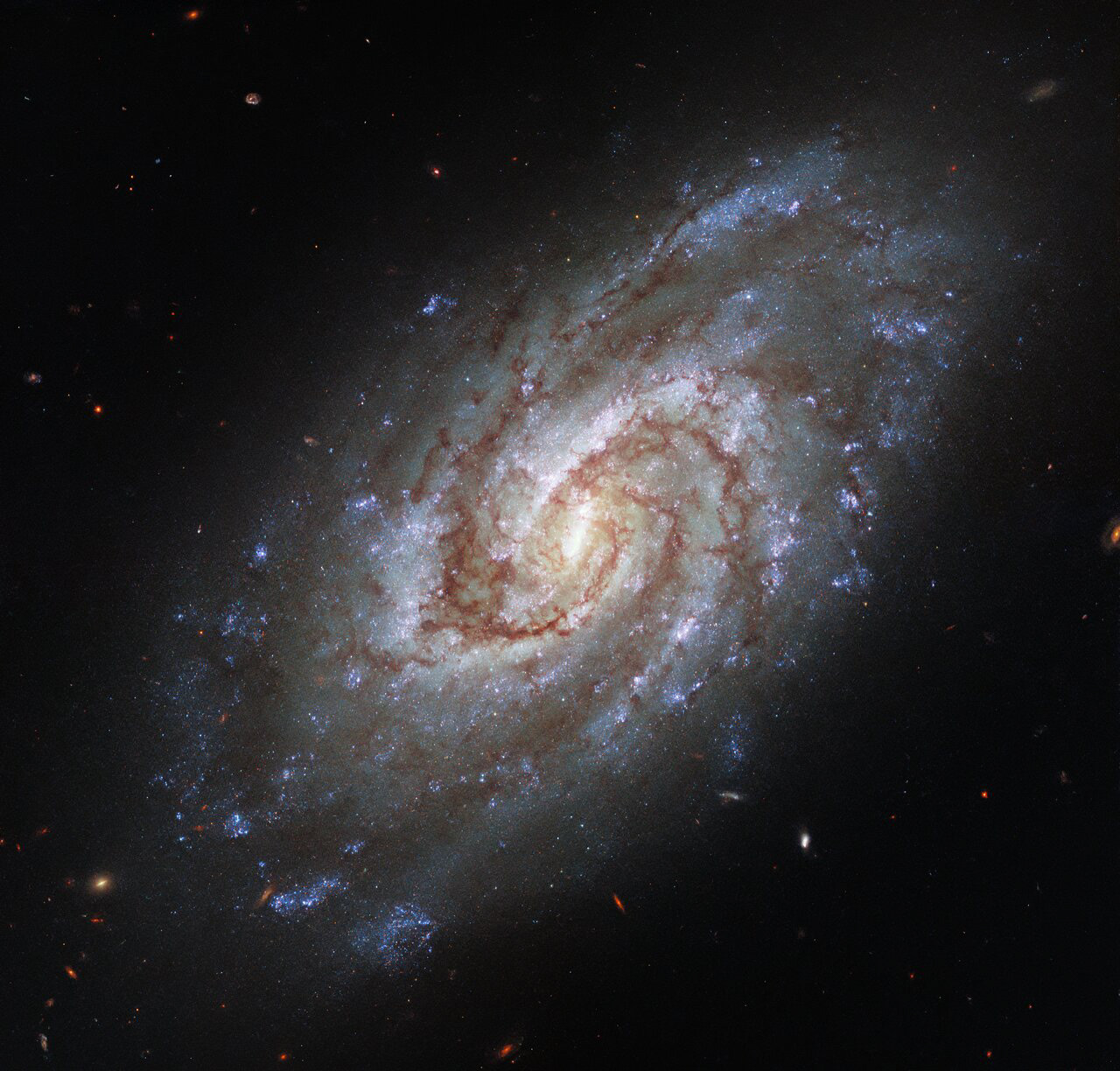 The spiral galaxy IC 1954 takes centre stage in this image from the NASA/ESA Hubble Space Telescope. The galaxy, which lies approximately 45 million light-years from Earth in the constellation Horologium (The Clock), boasts a bright central bar and lazily winding spiral arms threaded with dark clouds of dust.  This portrait of IC 1954 was captured with Hubble’s Wide Field Camera 3, and is one of a set of observations designed to take advantage of some telescope teamwork. Hubble observed groups of young stars in nearby galaxies at ultraviolet and optical wavelengths while the Atacama Large Millimeter/submillimeter Array — a ground-based radio telescope — gathered data on star-forming discs and clouds of cold gas. Combining the two sets of observations allowed astronomers to join the dots and understand the connections between young stars and the clouds of cold gas which give rise to them.   These observations also lay the groundwork for future observations with the upcoming NASA/ESA/CSA James Webb Space Telescope, which will peer into nearby galaxies and observe the earliest phases of star formation.  Links Video of Portrait of a Swirling Galaxy Credit: ESA/Hubble & NASA, J. Lee and the PHANGS-HST Team